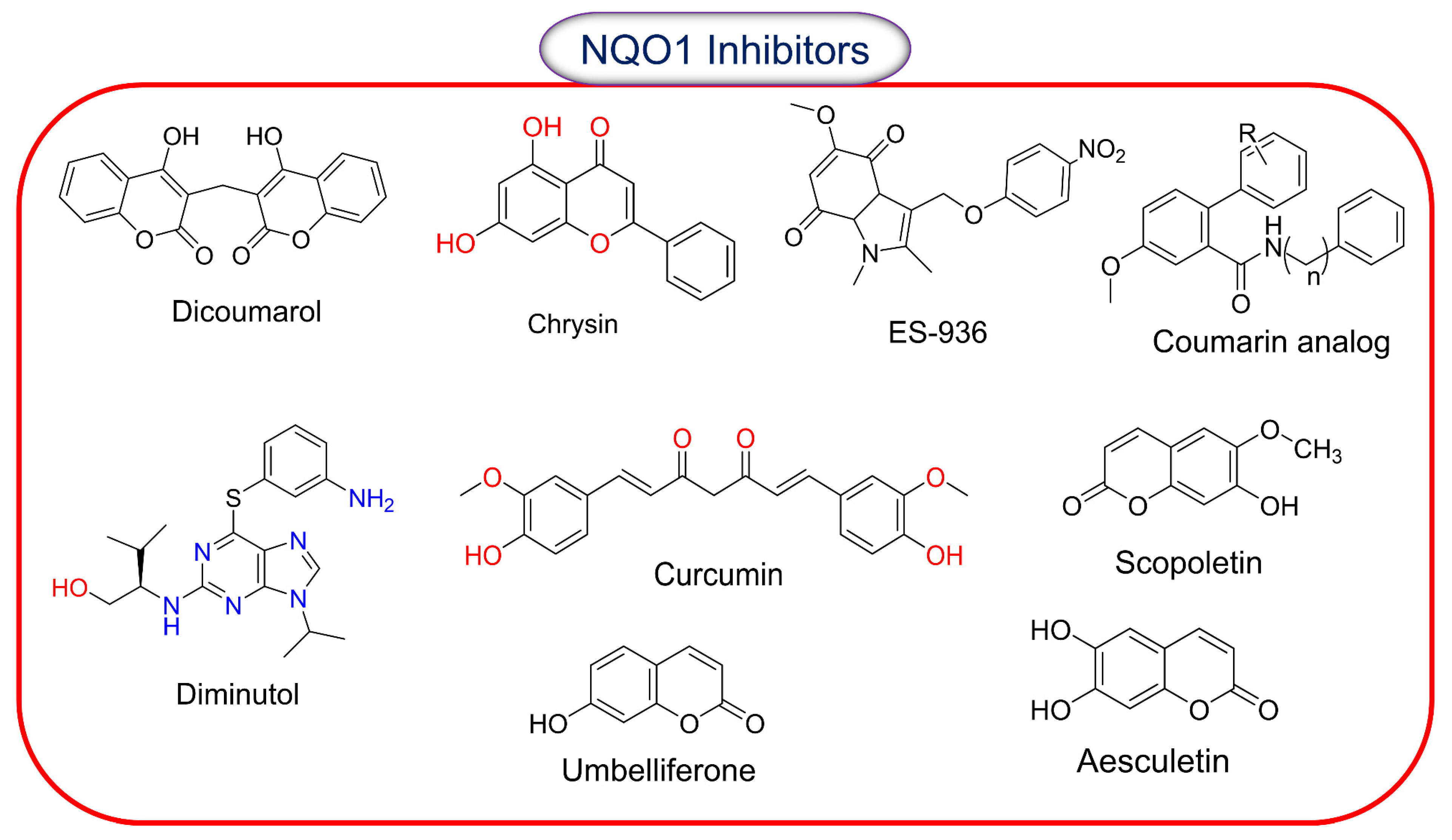 Cells 13 01272 g005 Cells 13 01272 g005