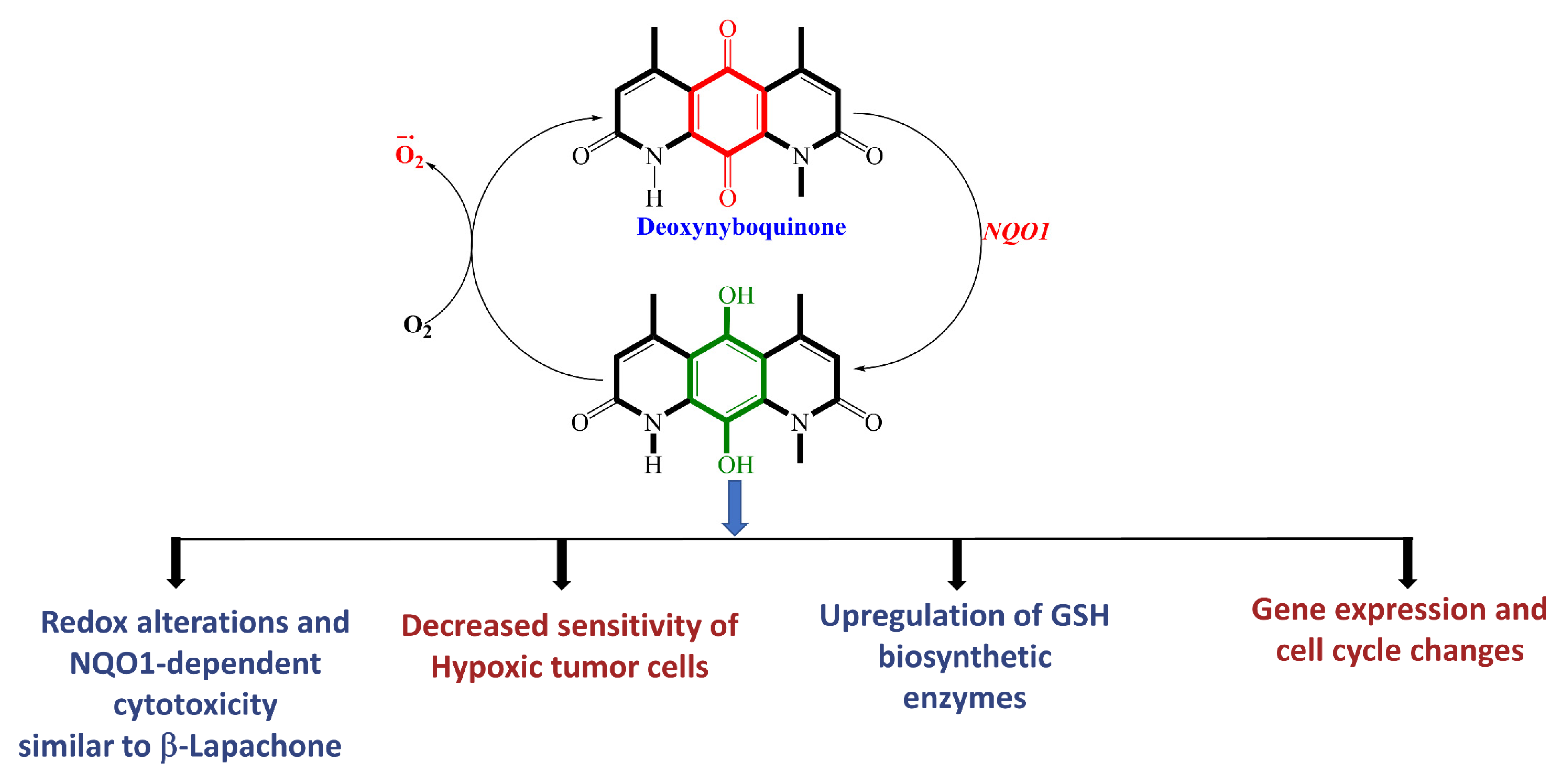 Cells 13 01272 g008 Cells 13 01272 g008