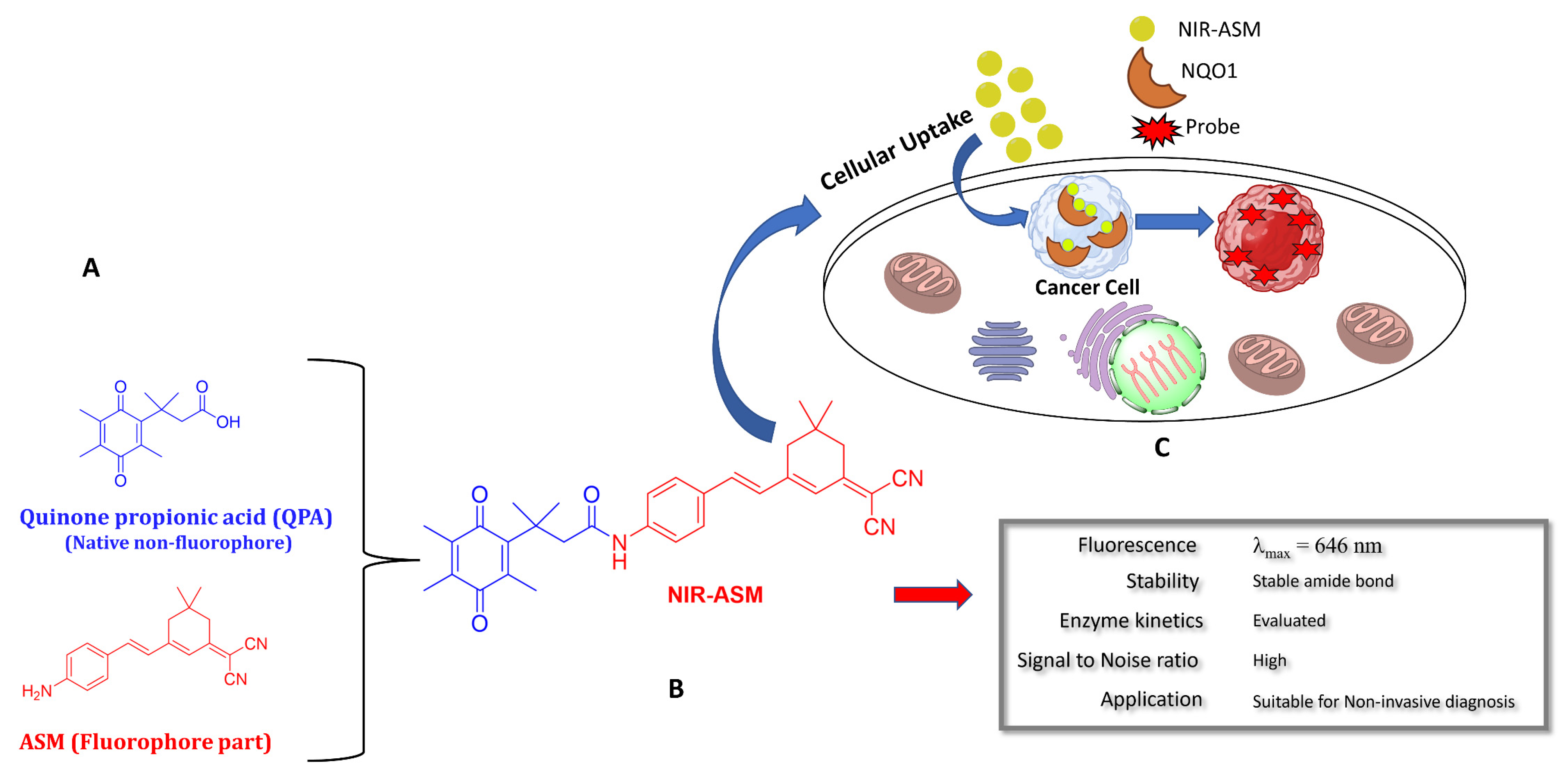 Cells 13 01272 g010 Cells 13 01272 g010