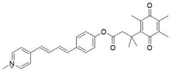 Cells 13 01272 i023 Cells 13 01272 i023