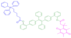 Cells 13 01272 i026 Cells 13 01272 i026