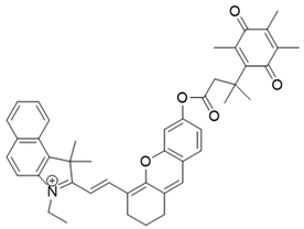 Cells 13 01272 i030 Cells 13 01272 i030