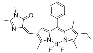 Cells 13 01272 i031 Cells 13 01272 i031