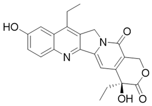 Cells 13 01272 i036 Cells 13 01272 i036