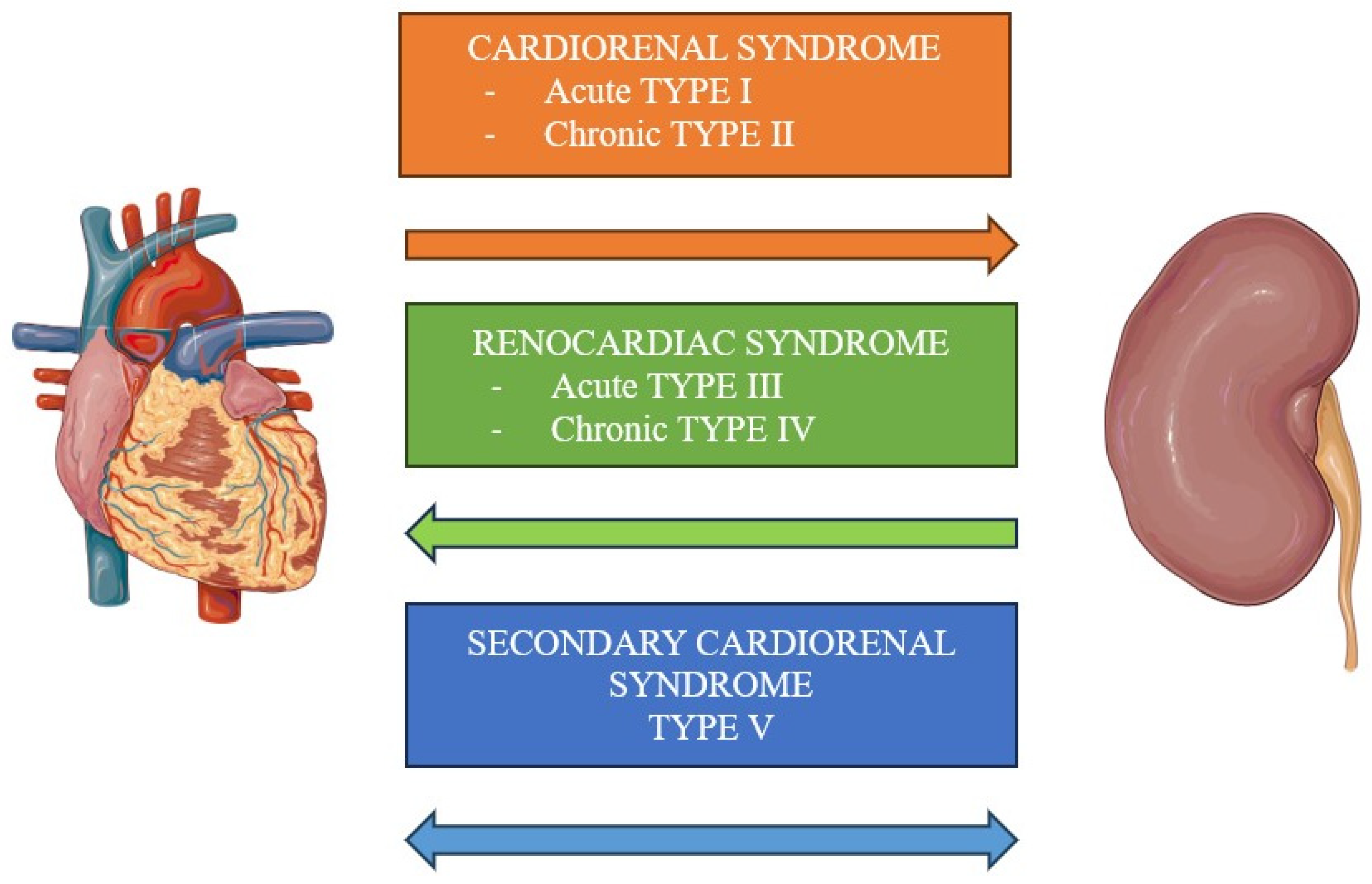 Cells 13 01283 g001 Cells 13 01283 g001