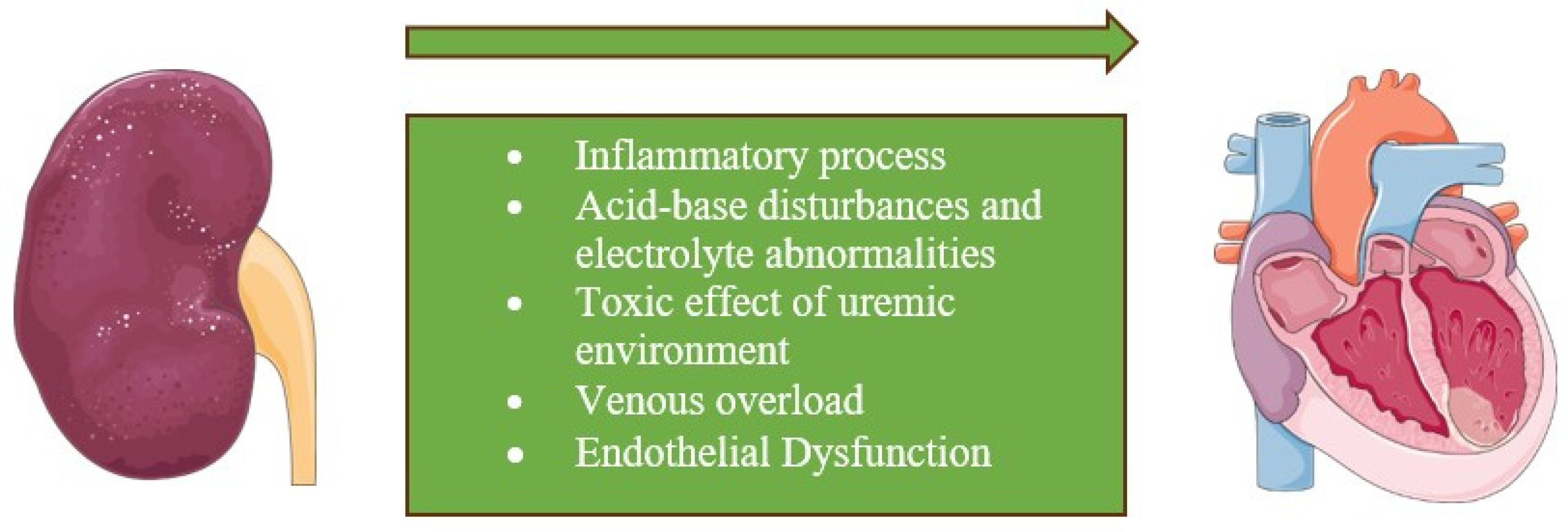 Cells 13 01283 g003 Cells 13 01283 g003