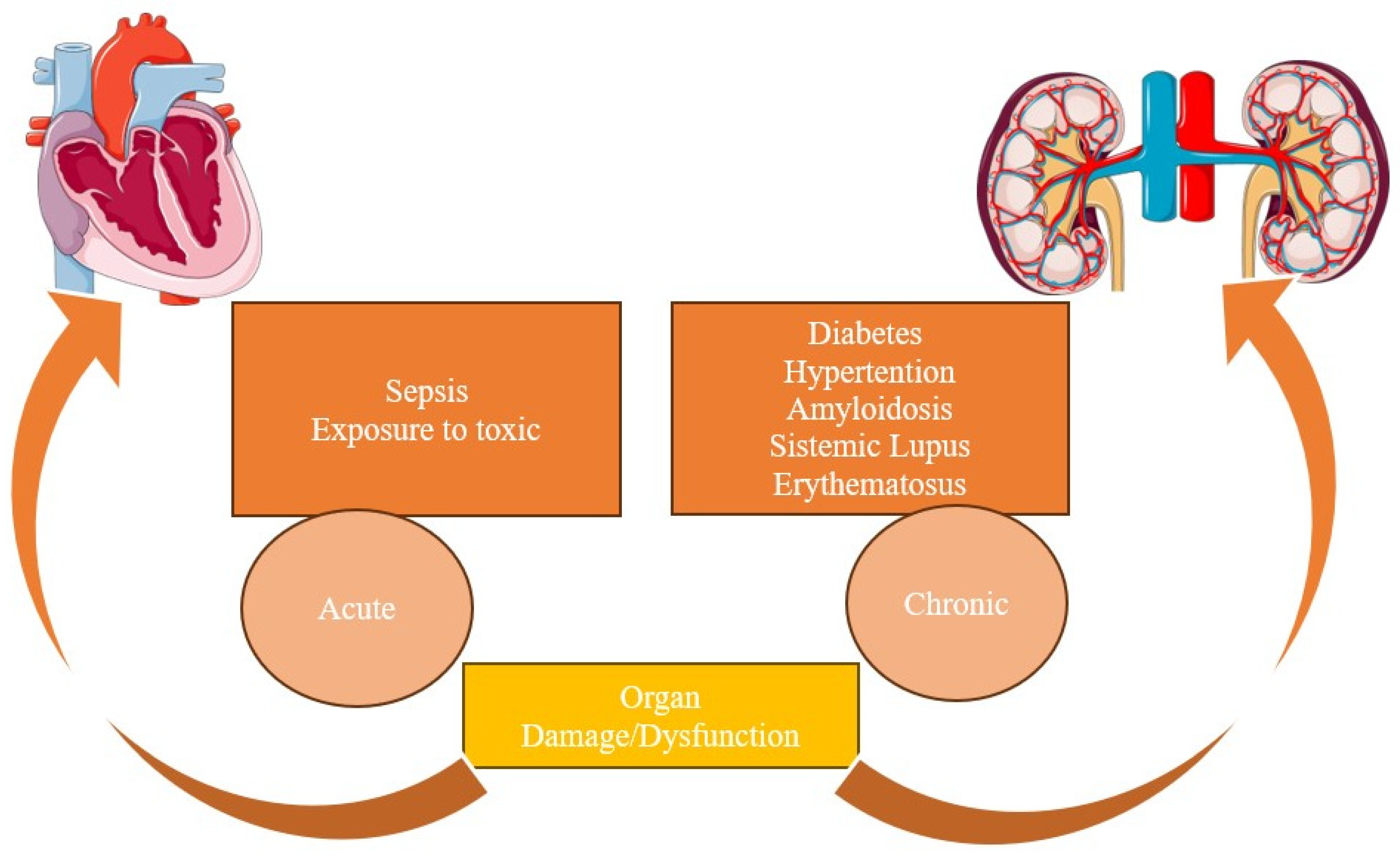 Cells 13 01283 g004 Cells 13 01283 g004