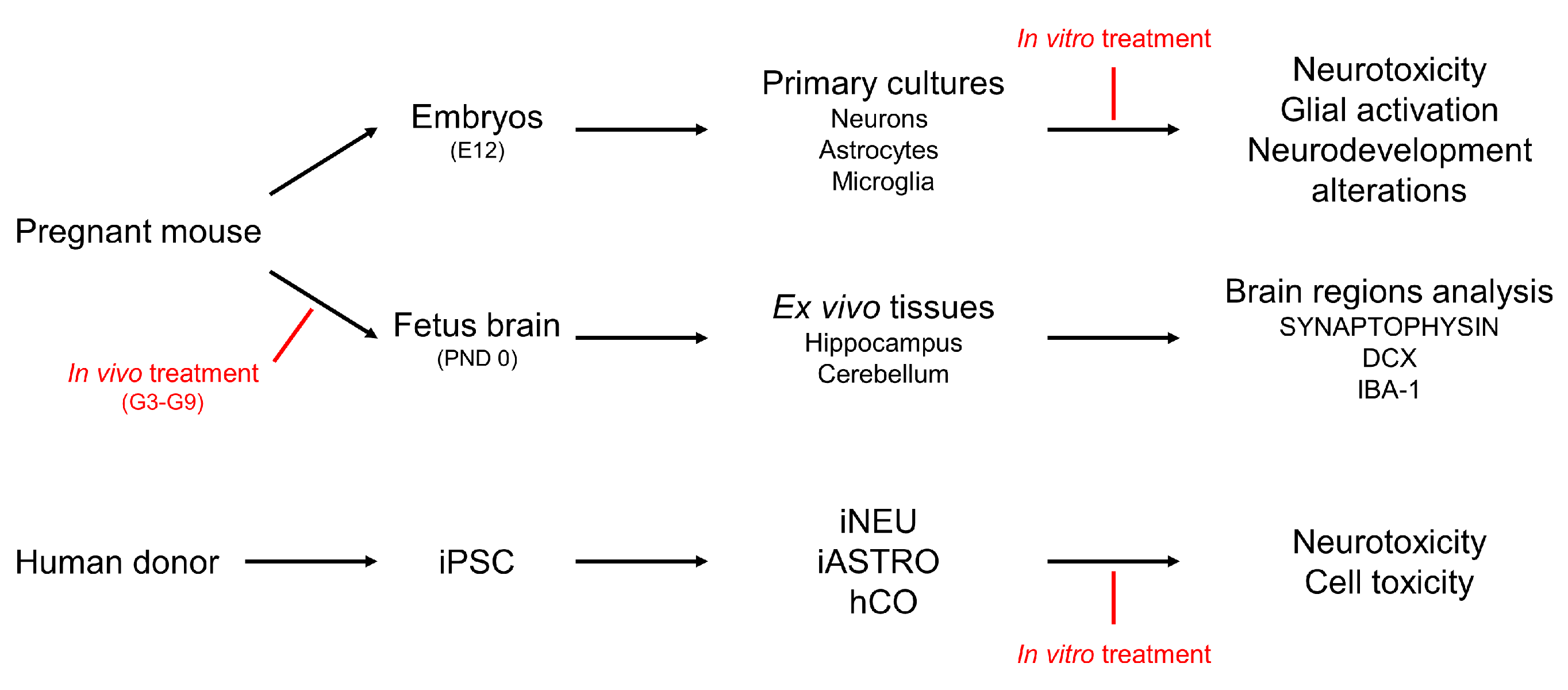 Cells 13 01295 sch001