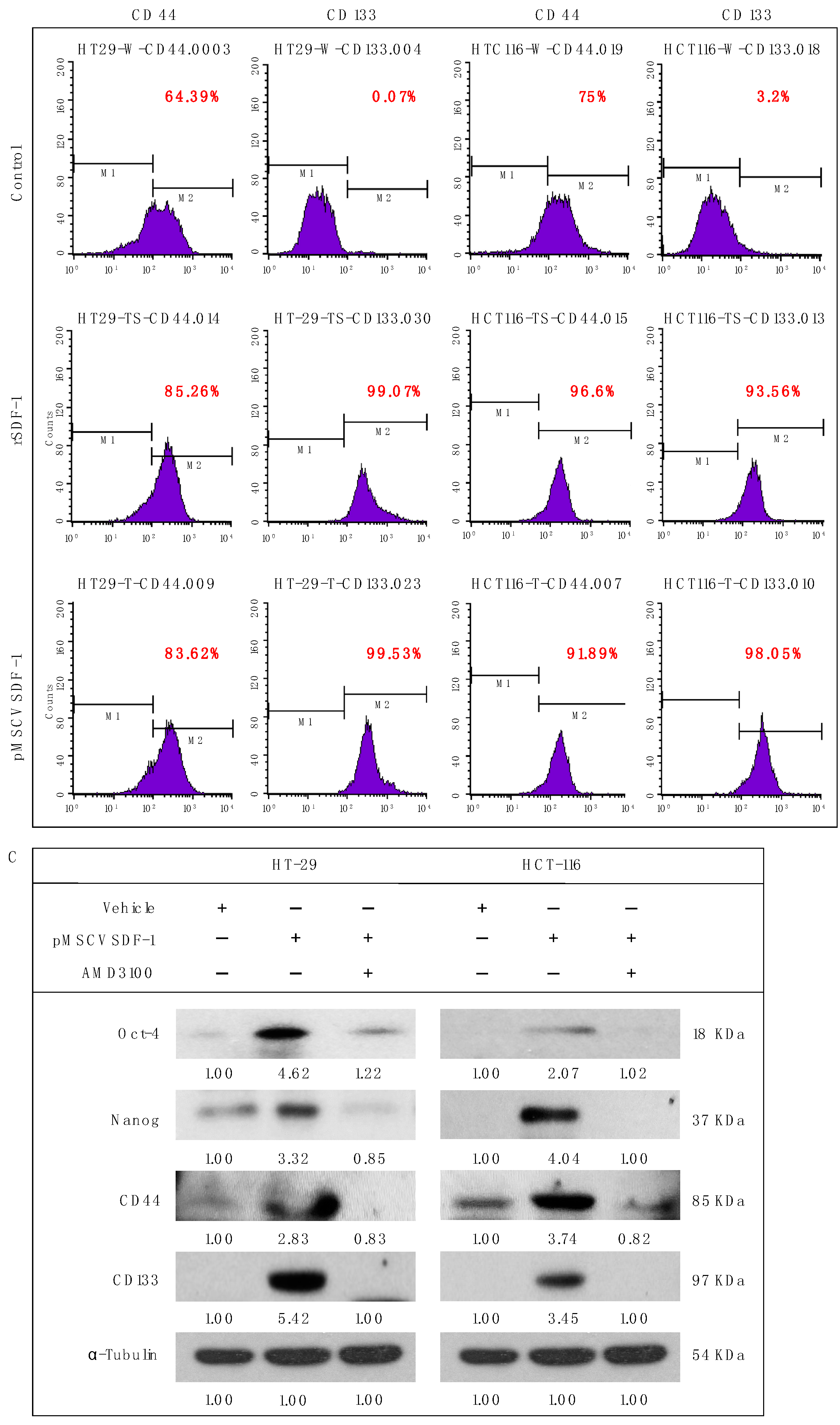 Cells 13 01334 g004b