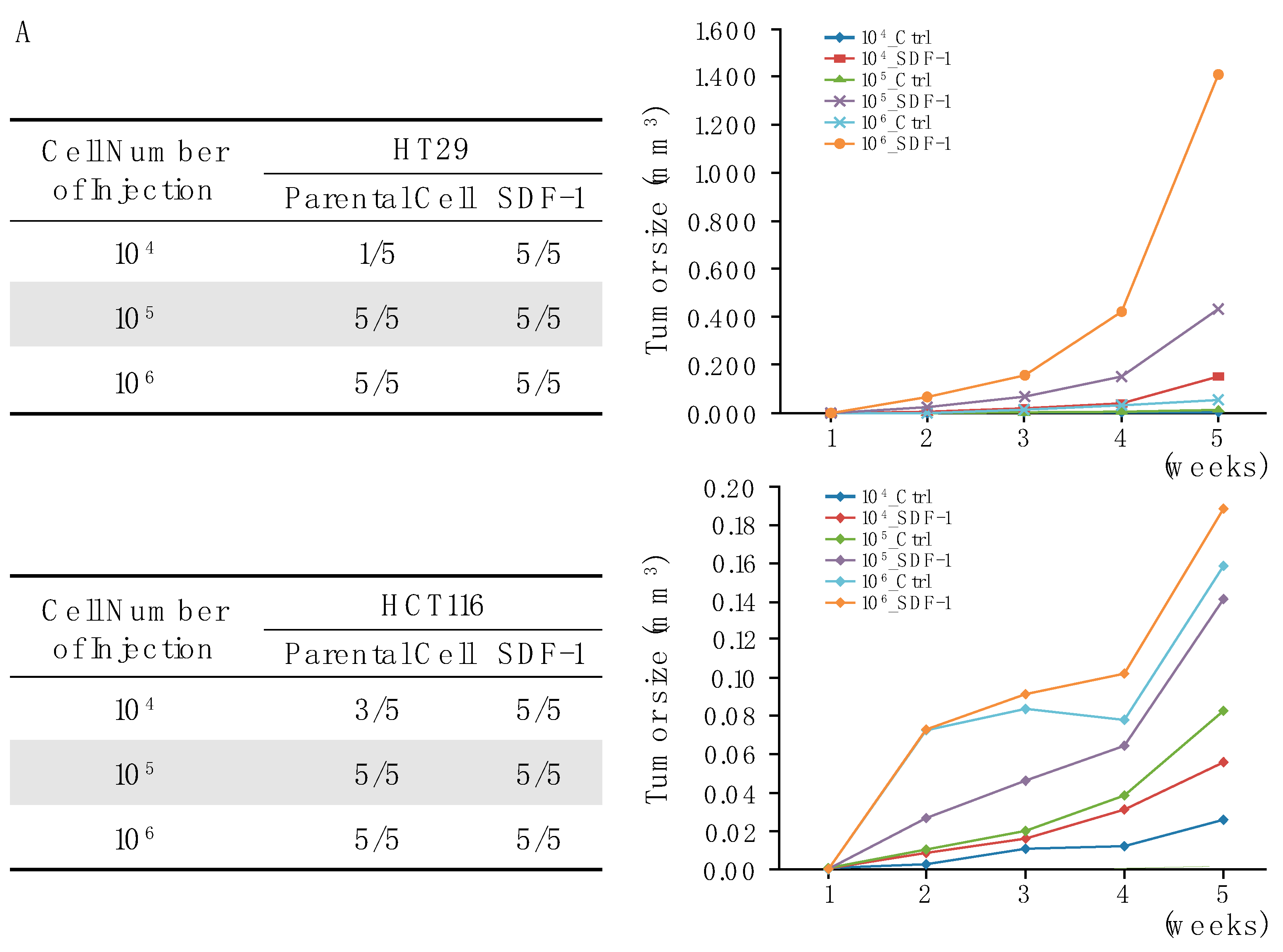 Cells 13 01334 g005a