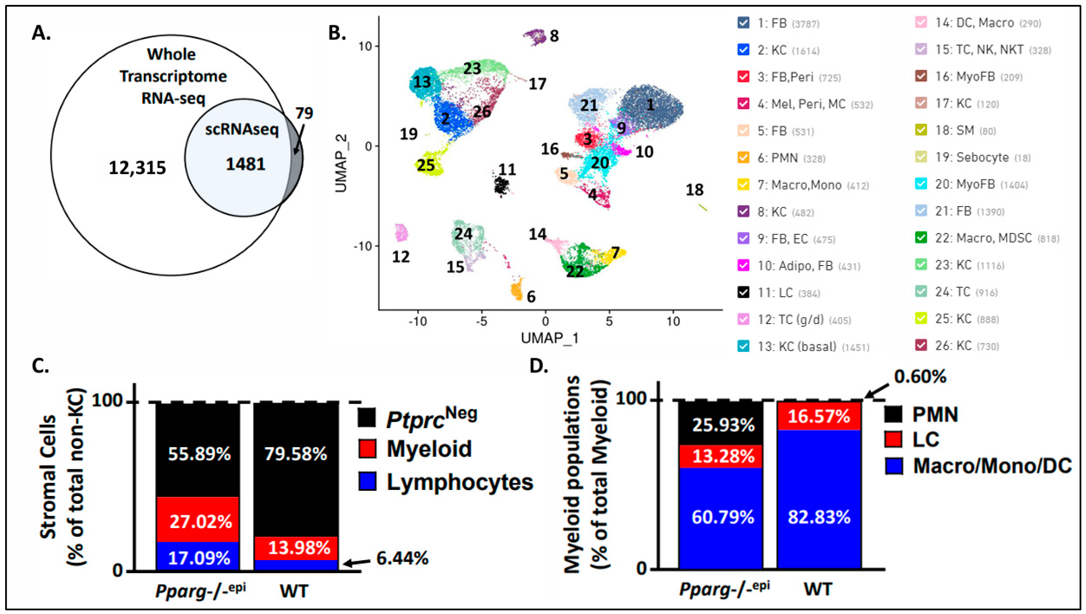 Cells 13 01356 g001 Cells 13 01356 g001