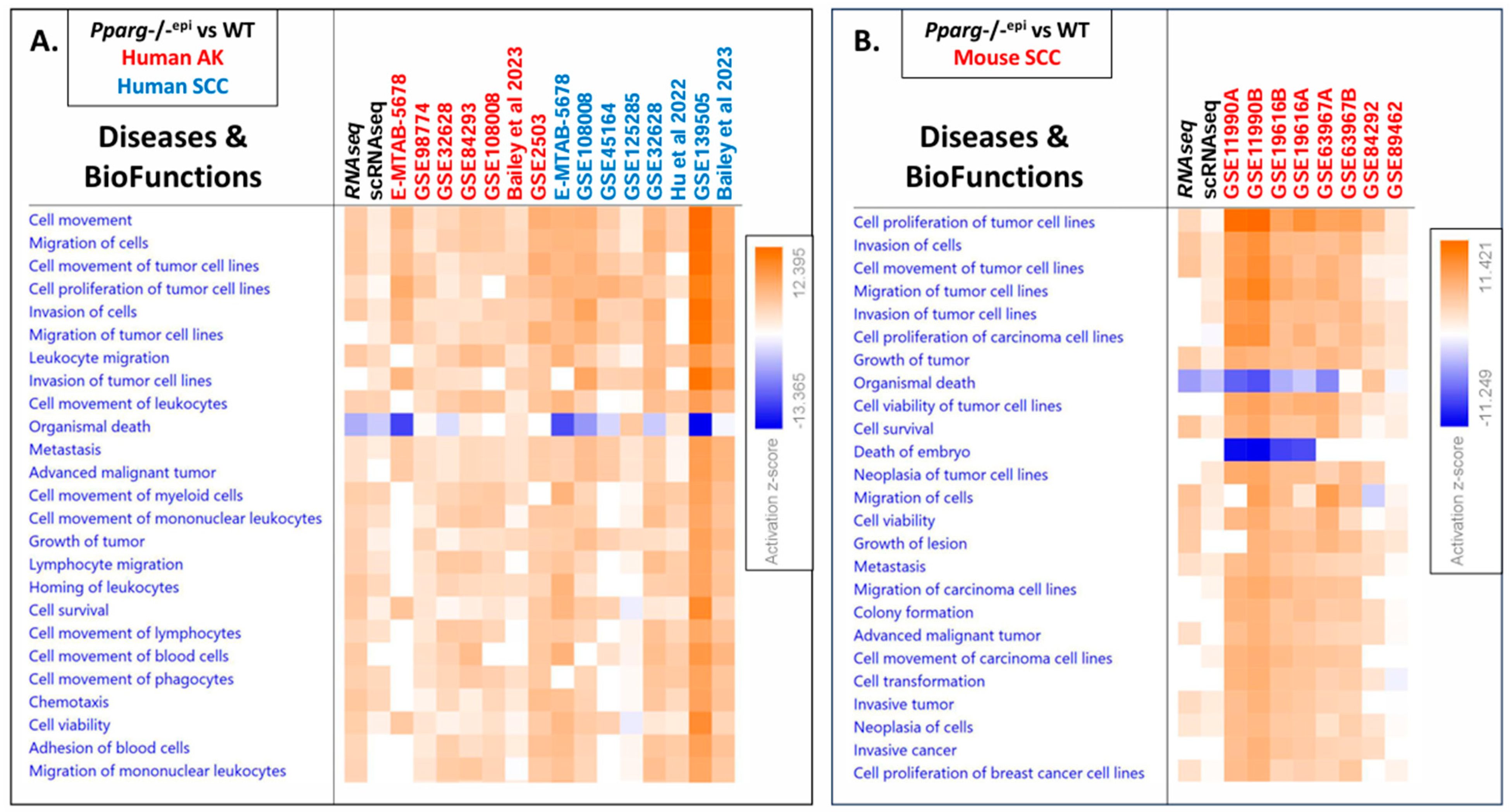 Cells 13 01356 g003 Cells 13 01356 g003