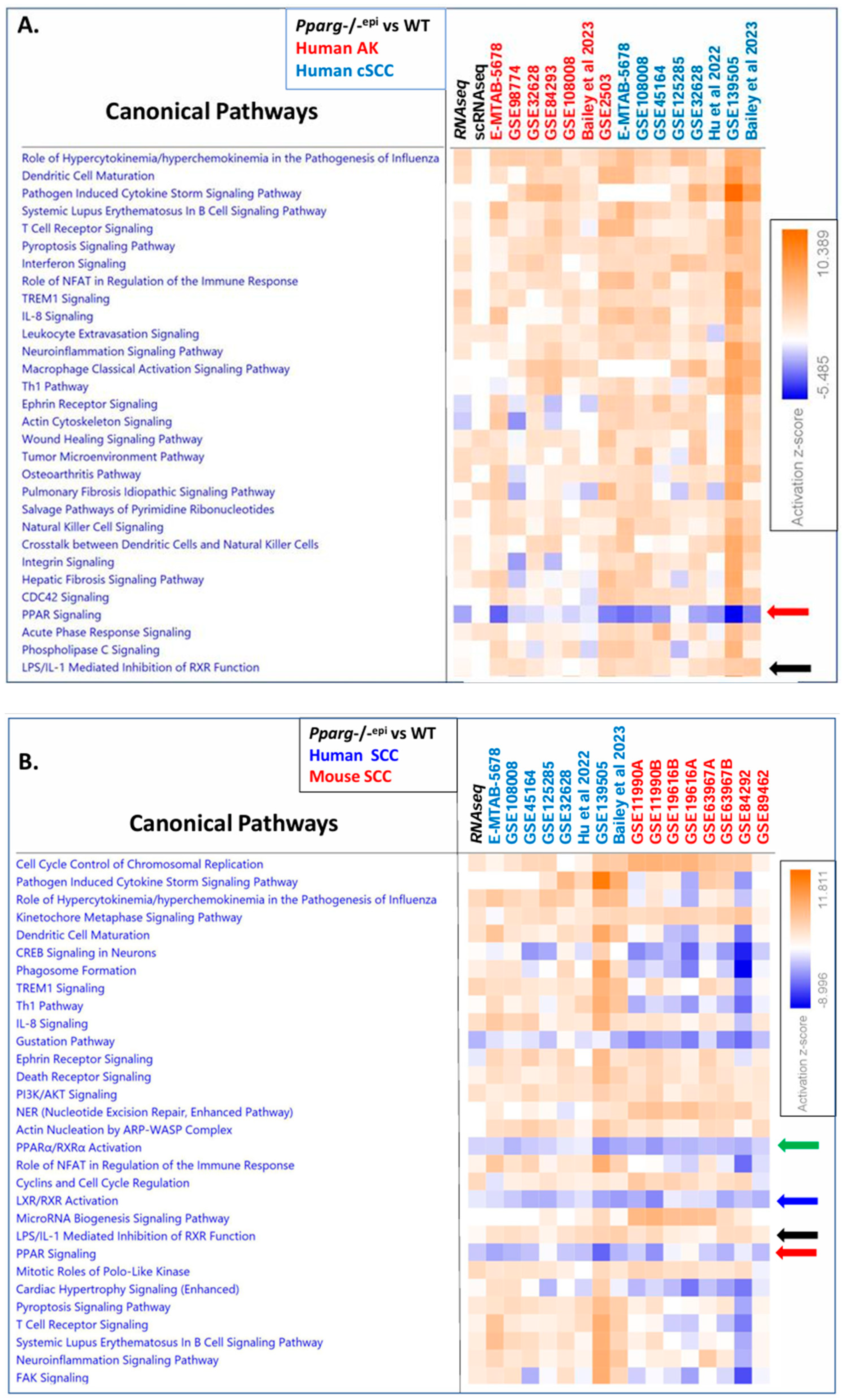 Cells 13 01356 g004 Cells 13 01356 g004