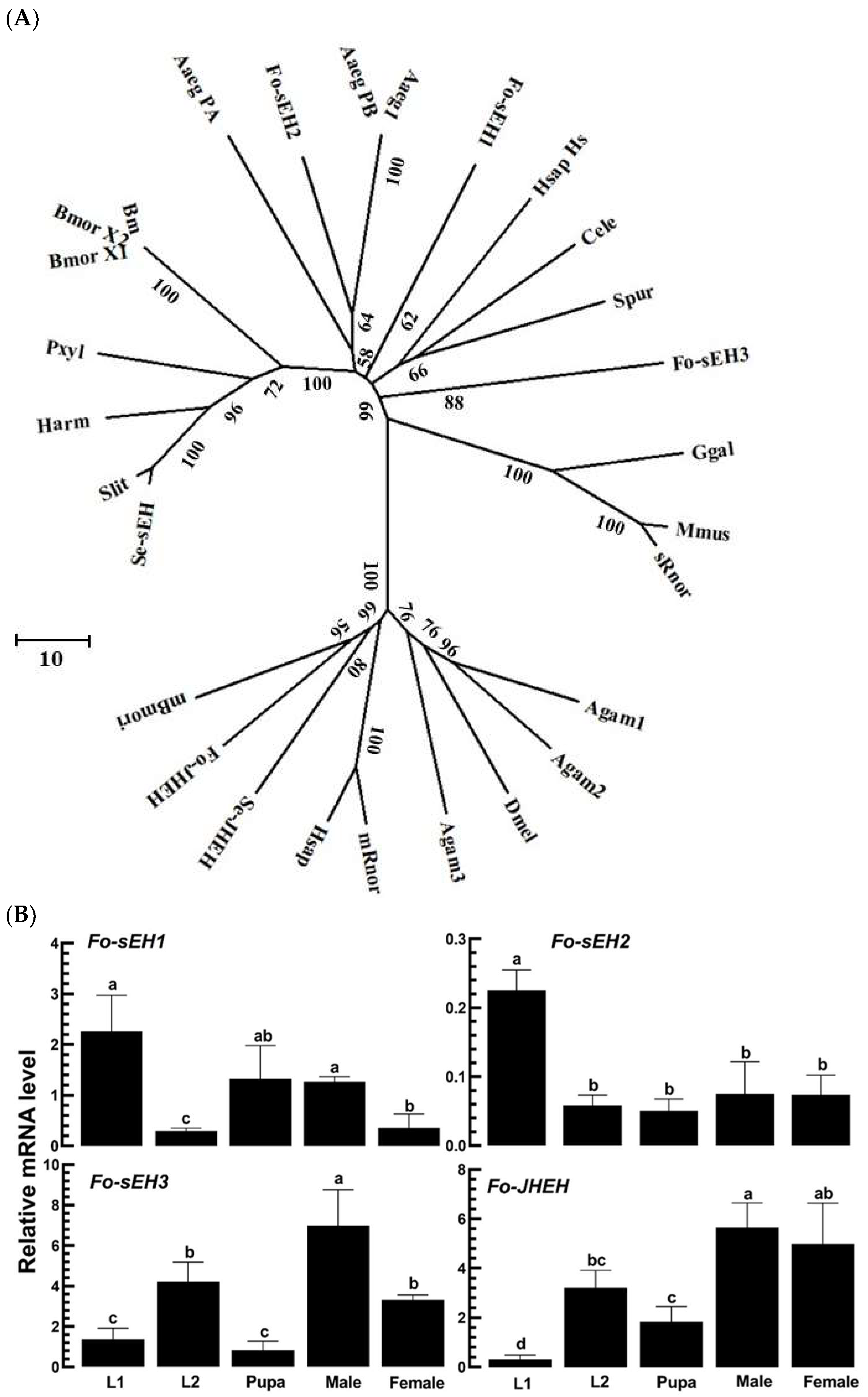 Cells 13 01377 g006a