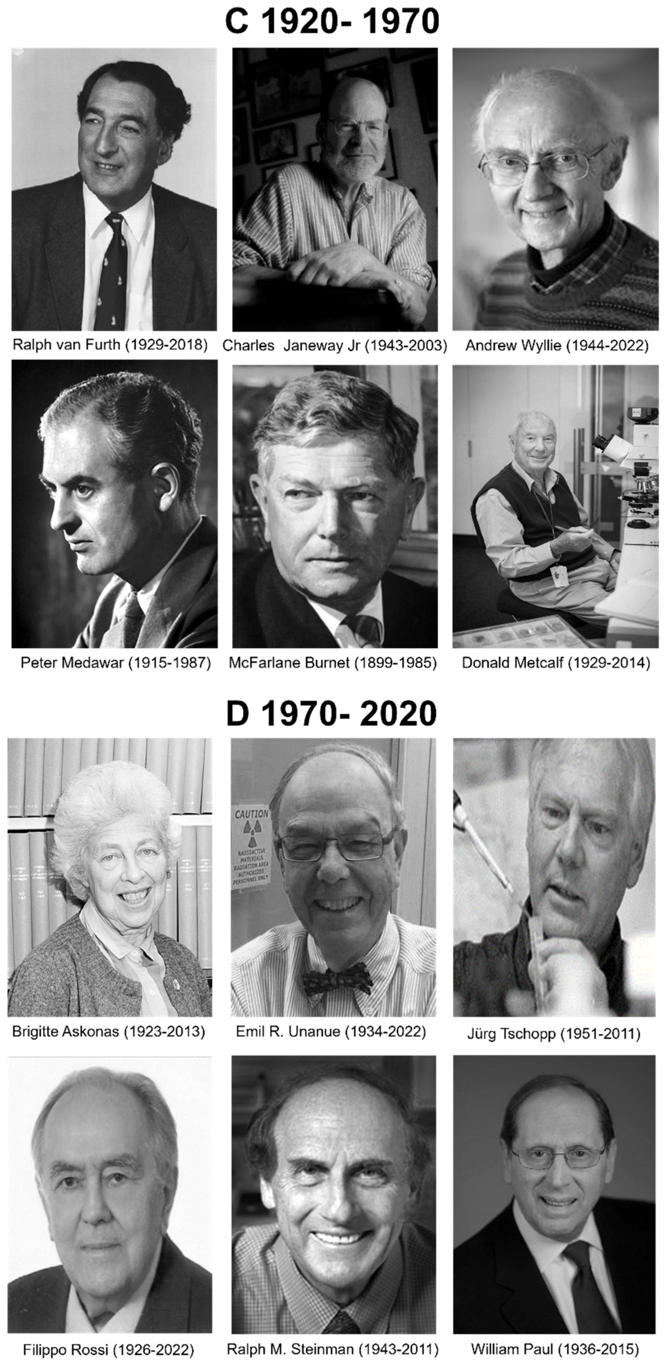 Cells 13 01378 g001b Cells 13 01378 g001b