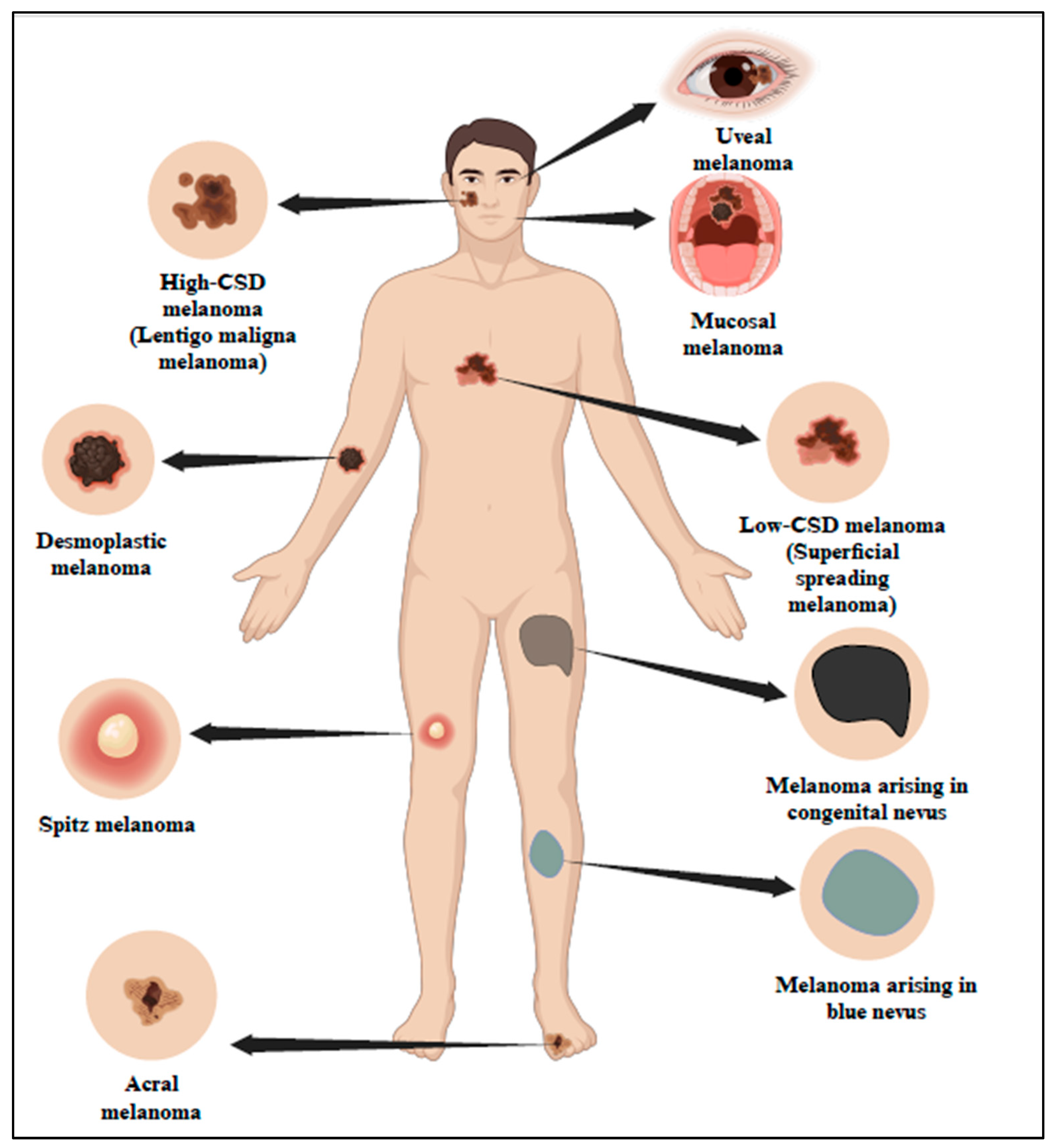 Cells 13 01383 g001 Cells 13 01383 g001