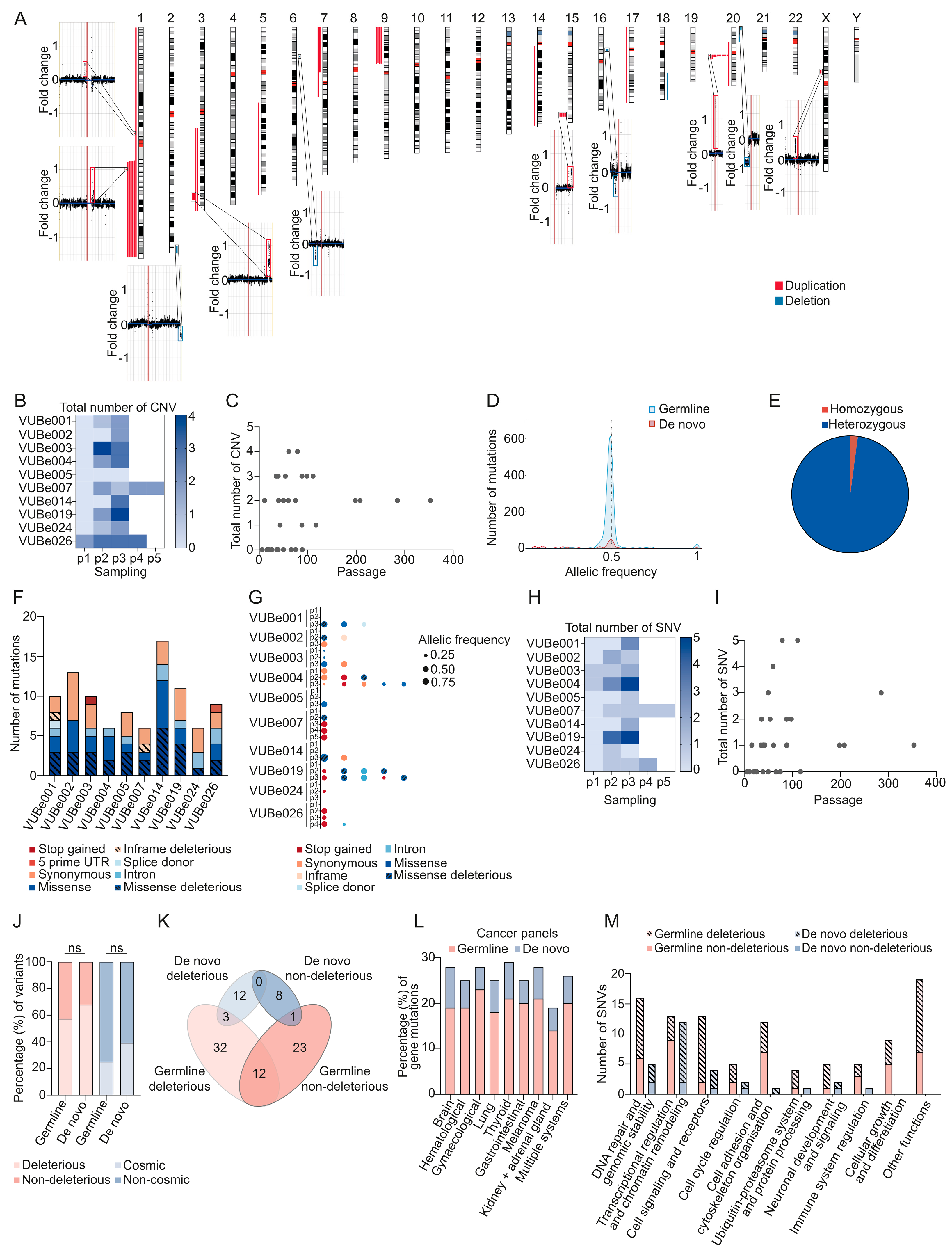 Cells 13 01395 g001 Cells 13 01395 g001