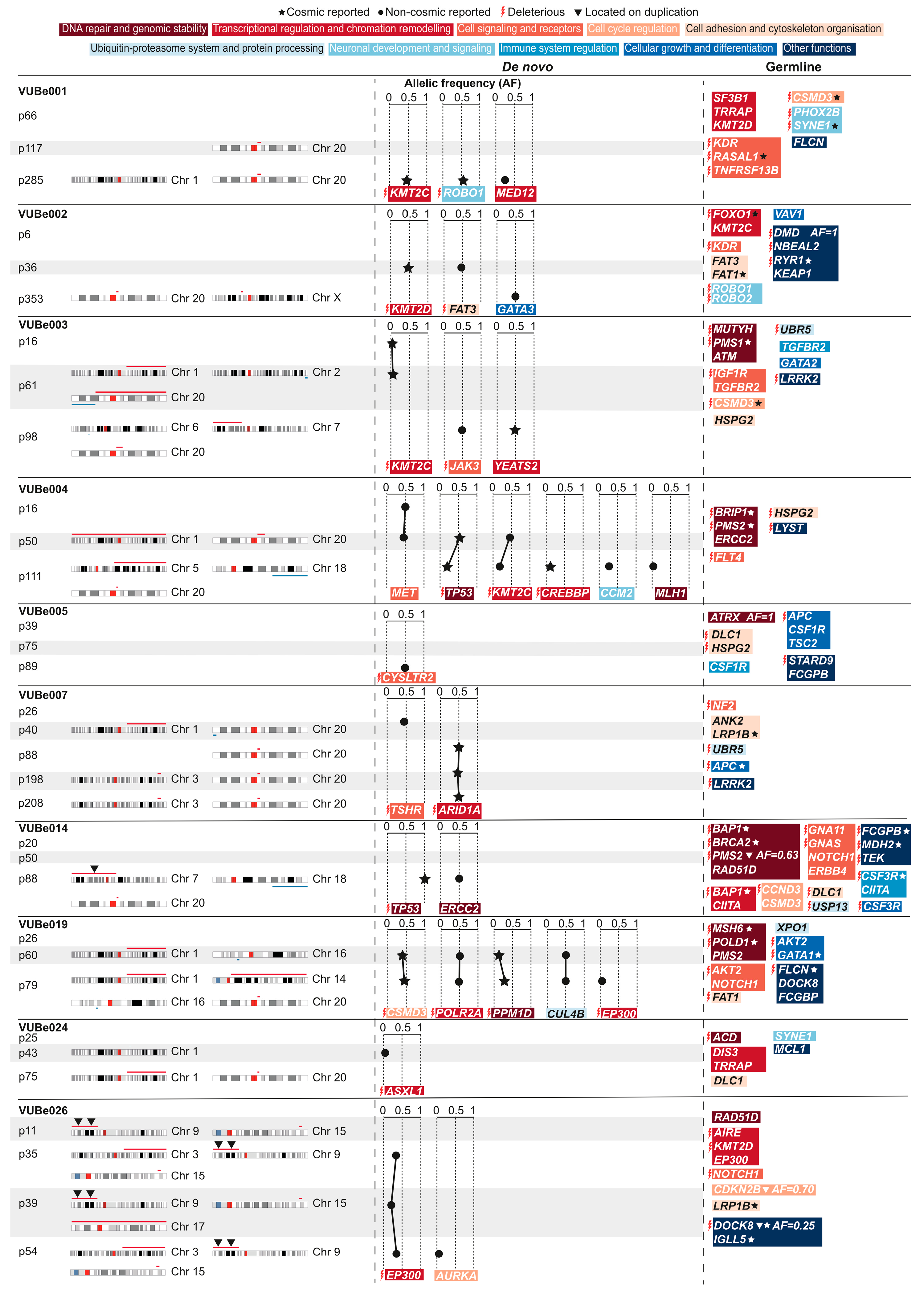 Cells 13 01395 g002 Cells 13 01395 g002