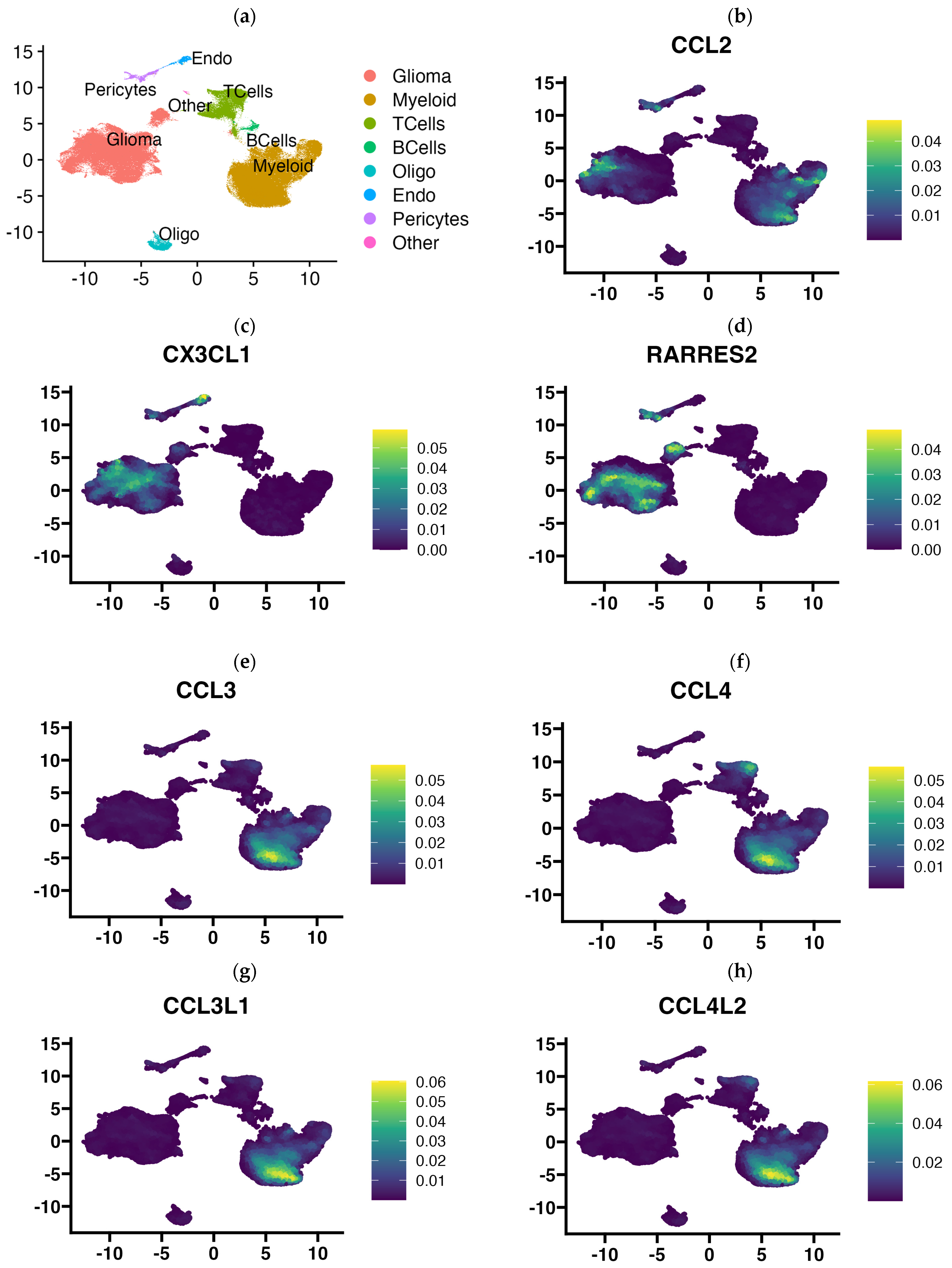 Cells 13 01404 g005a Cells 13 01404 g005a