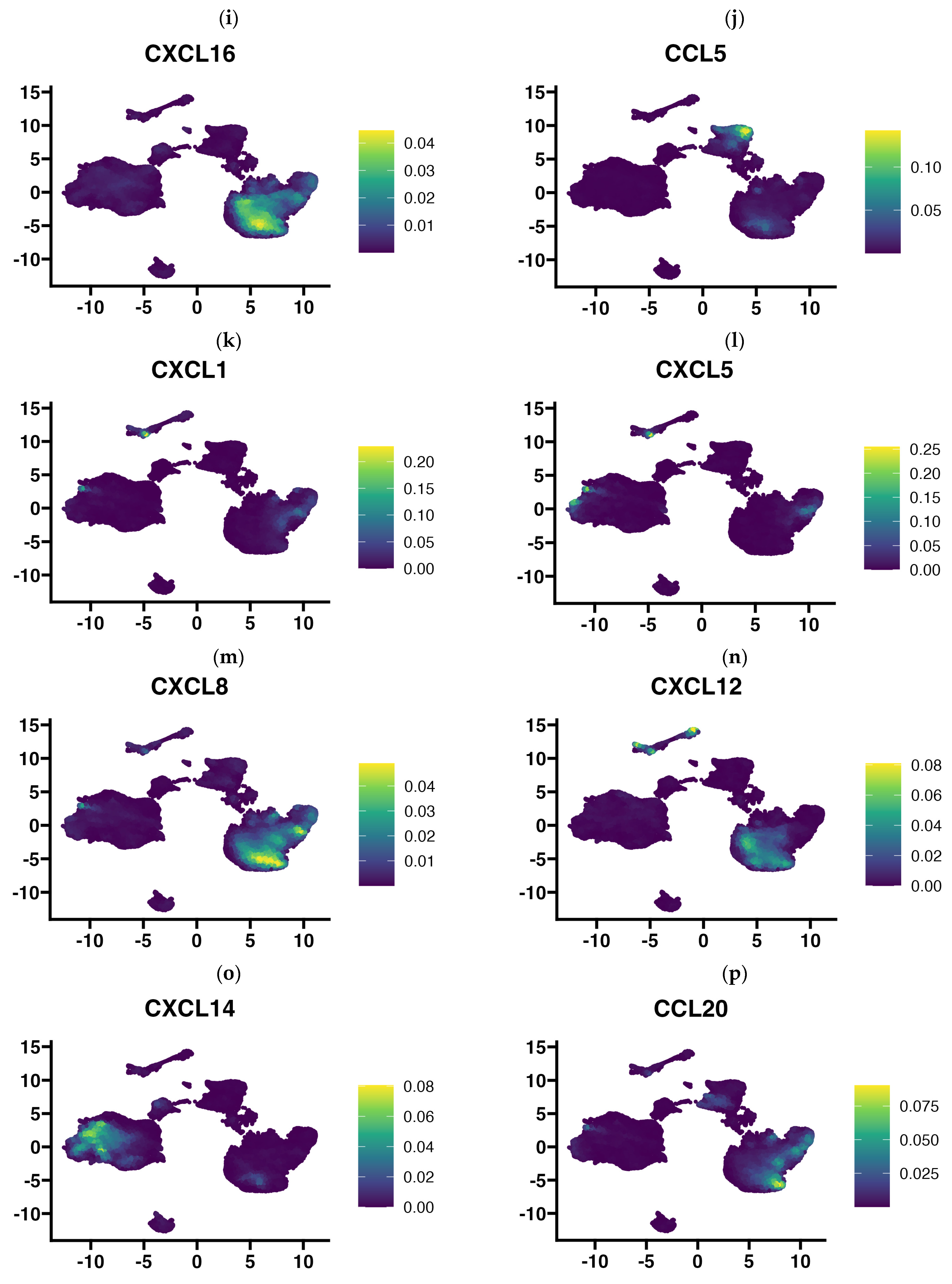 Cells 13 01404 g005b Cells 13 01404 g005b