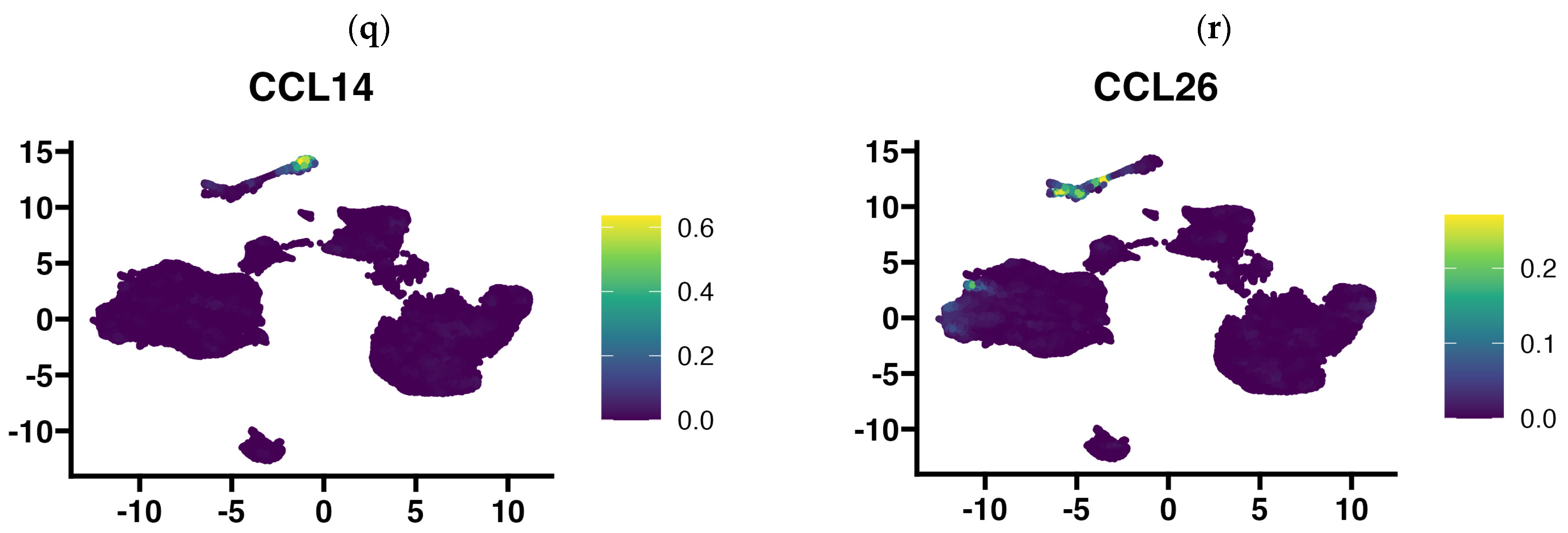 Cells 13 01404 g005c Cells 13 01404 g005c