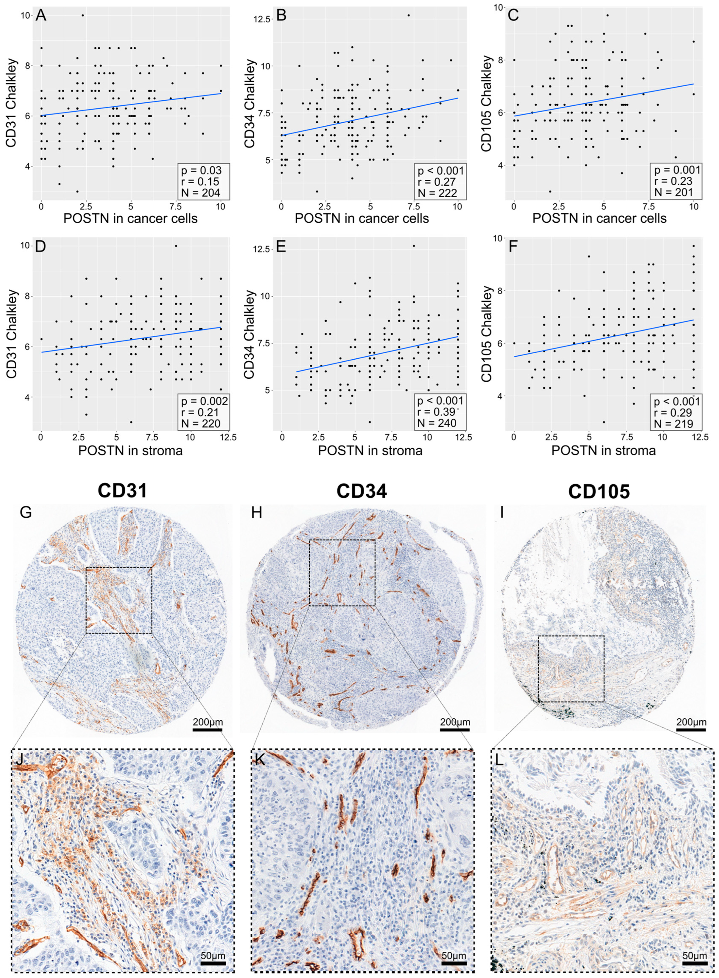Cells 13 01406 g008 Cells 13 01406 g008