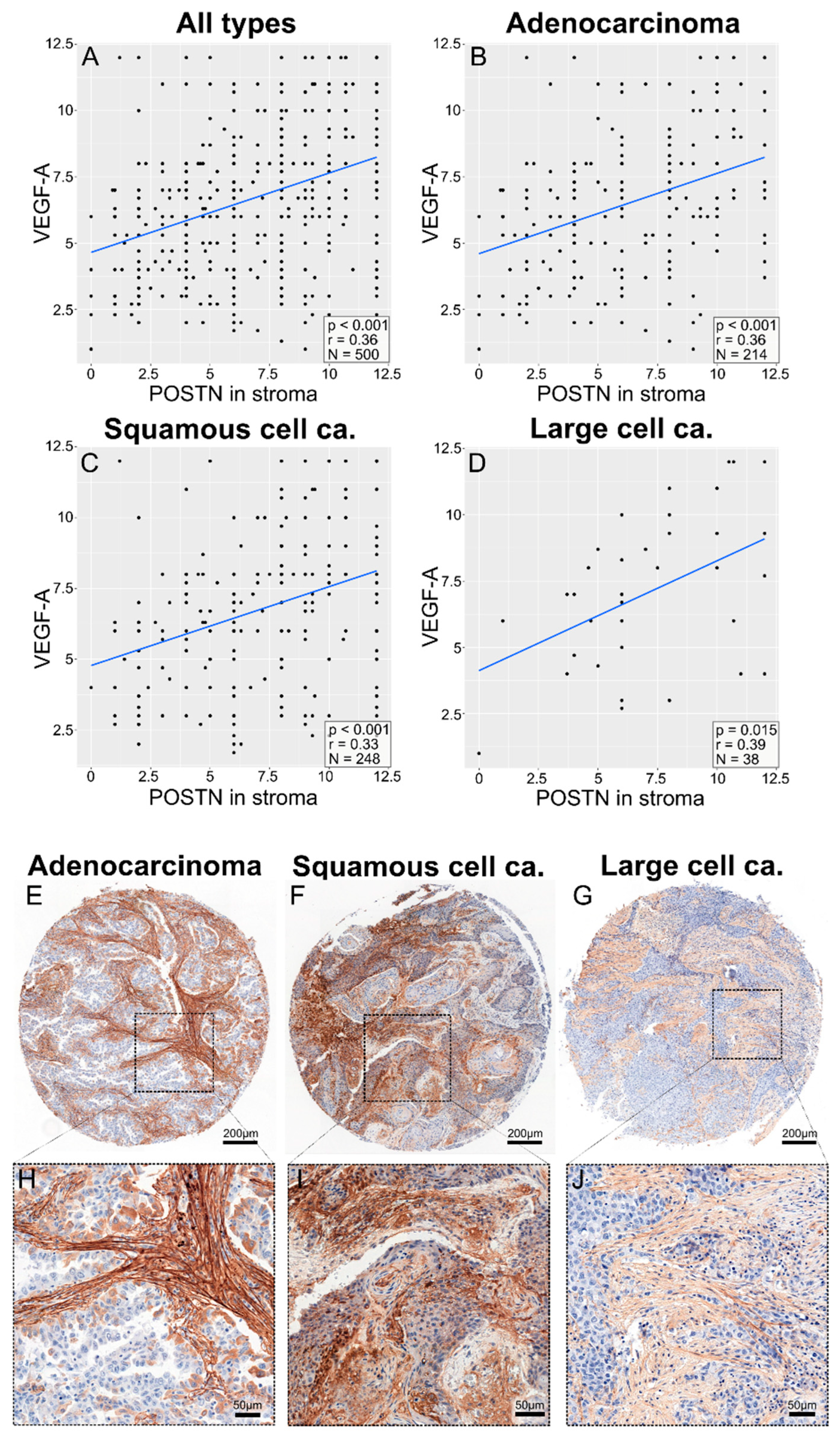 Cells 13 01406 g010 Cells 13 01406 g010