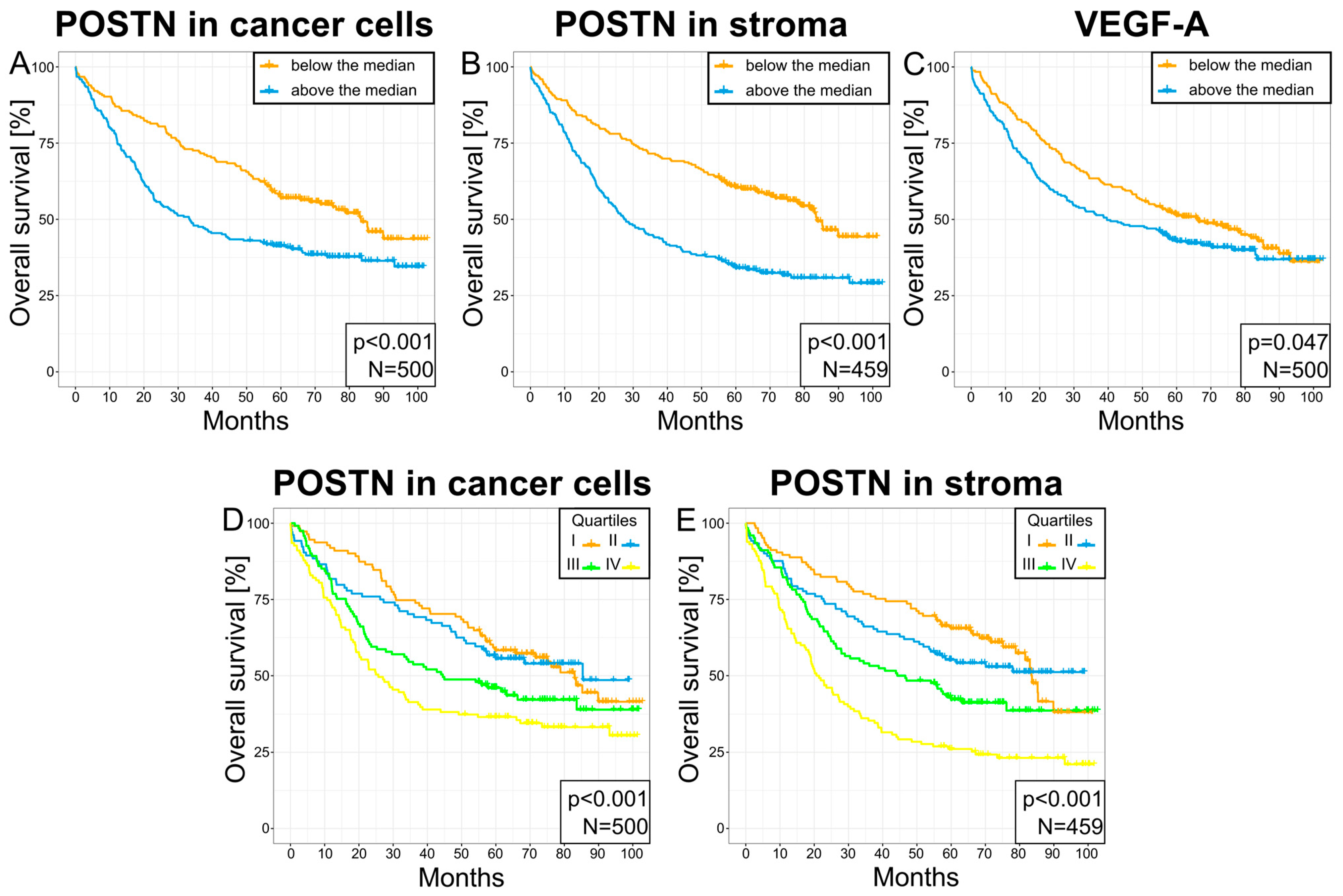 Cells 13 01406 g011 Cells 13 01406 g011