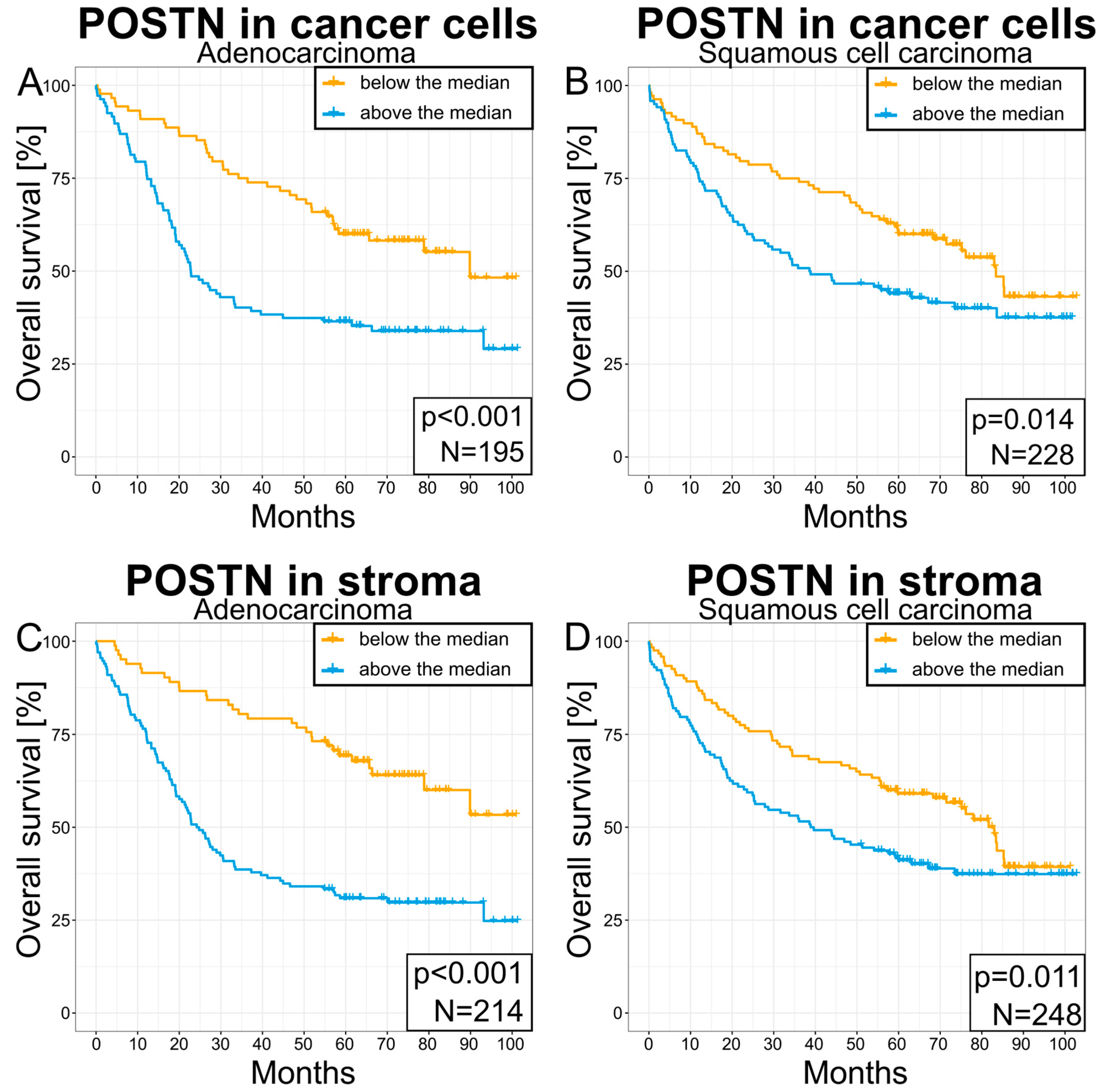 Cells 13 01406 g012 Cells 13 01406 g012
