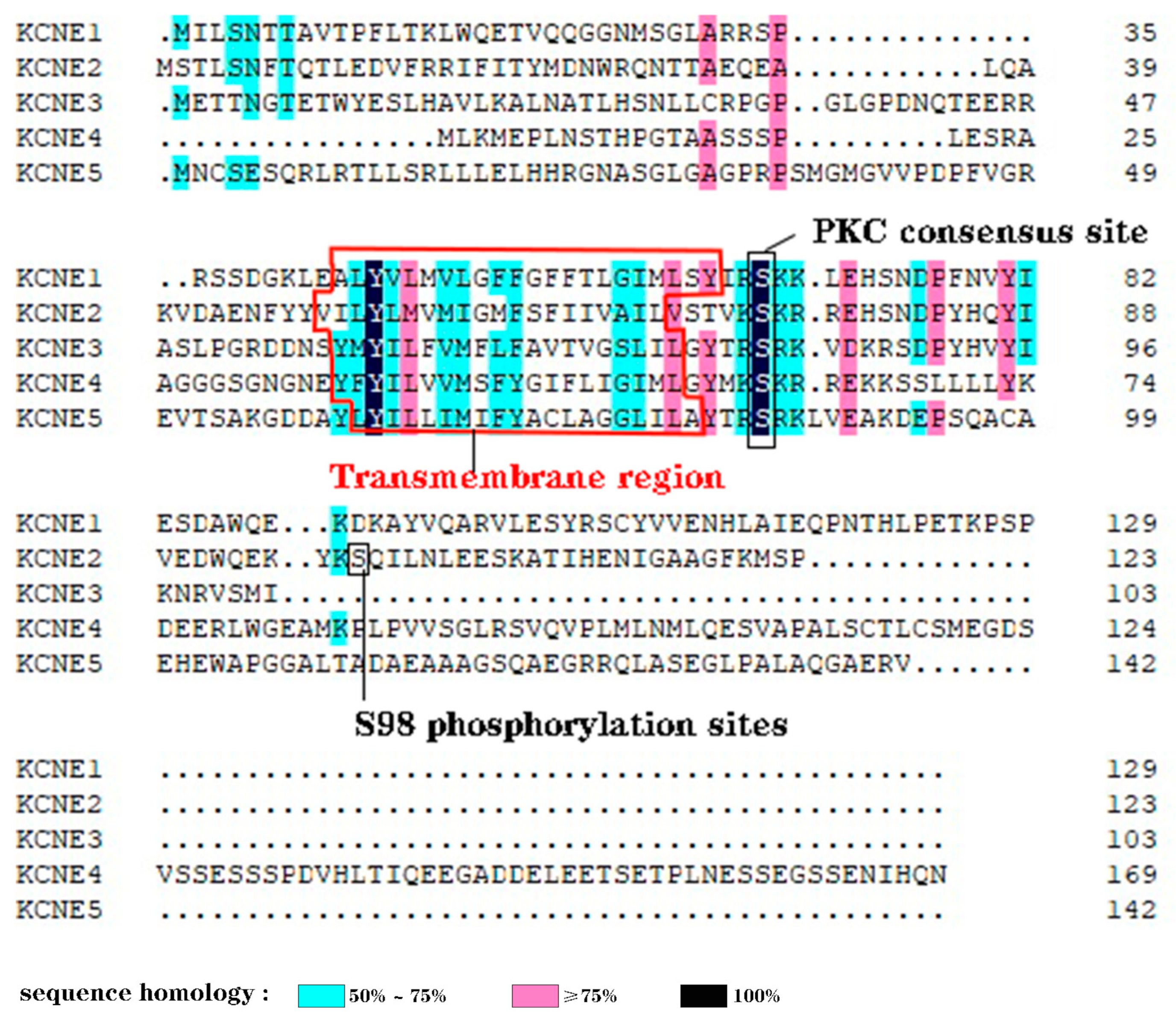 Cells 13 01409 g002 Cells 13 01409 g002