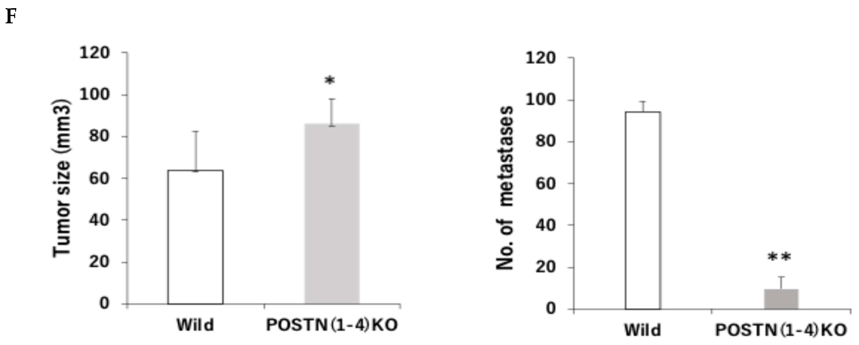 Cells 13 01410 g003b Cells 13 01410 g003b