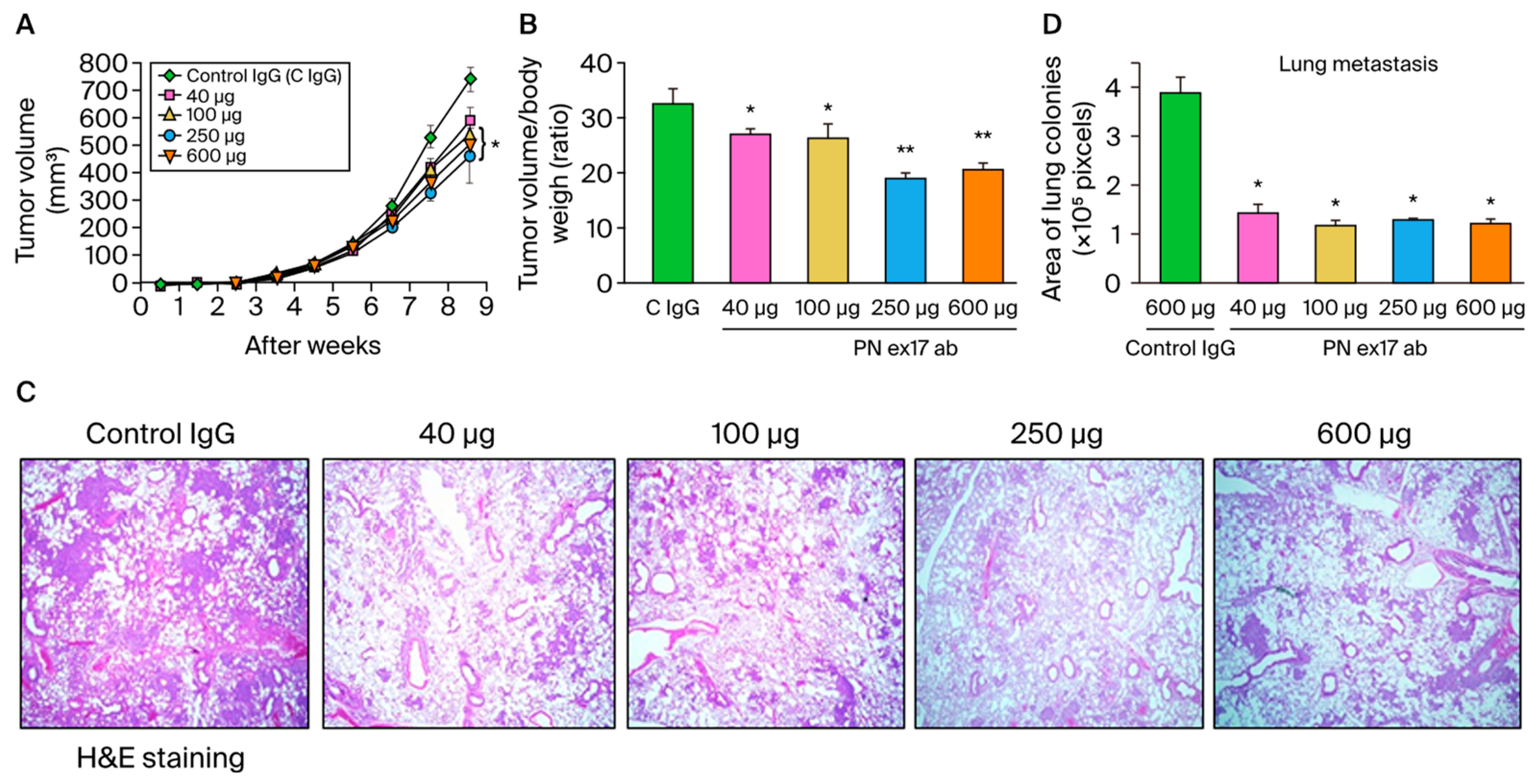 Cells 13 01410 g006 Cells 13 01410 g006