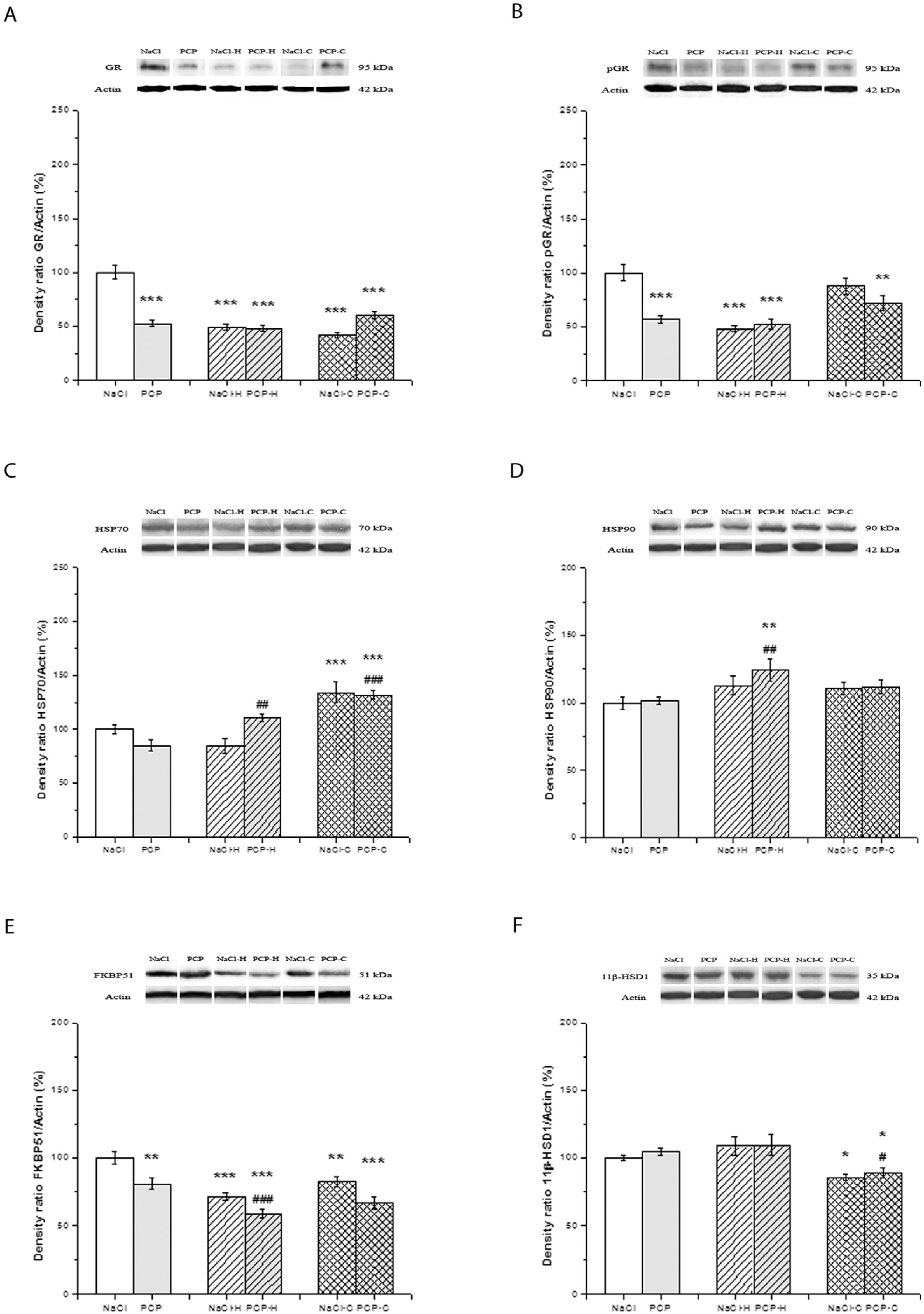 Cells 13 01425 g003 Cells 13 01425 g003