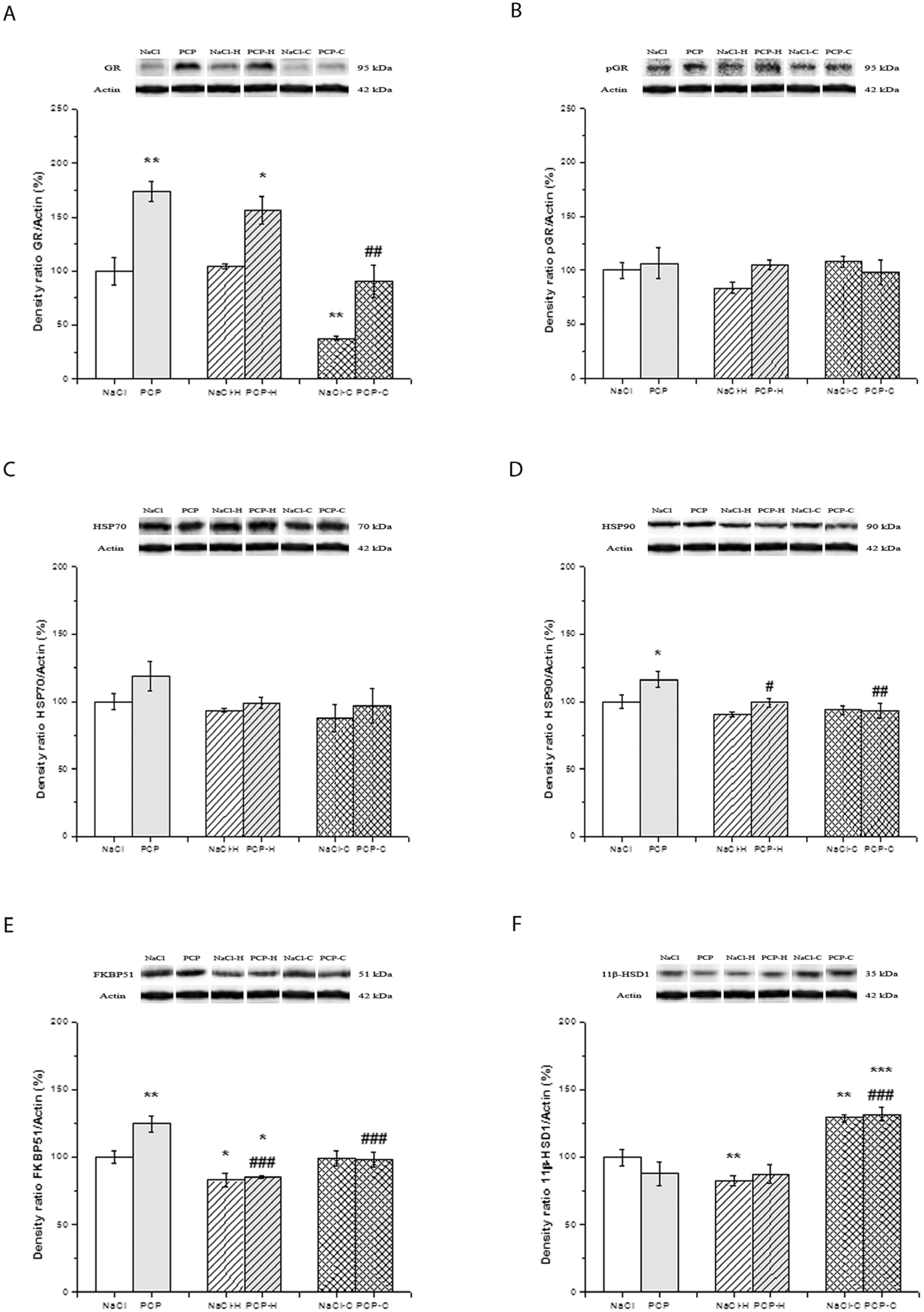 Cells 13 01425 g005 Cells 13 01425 g005
