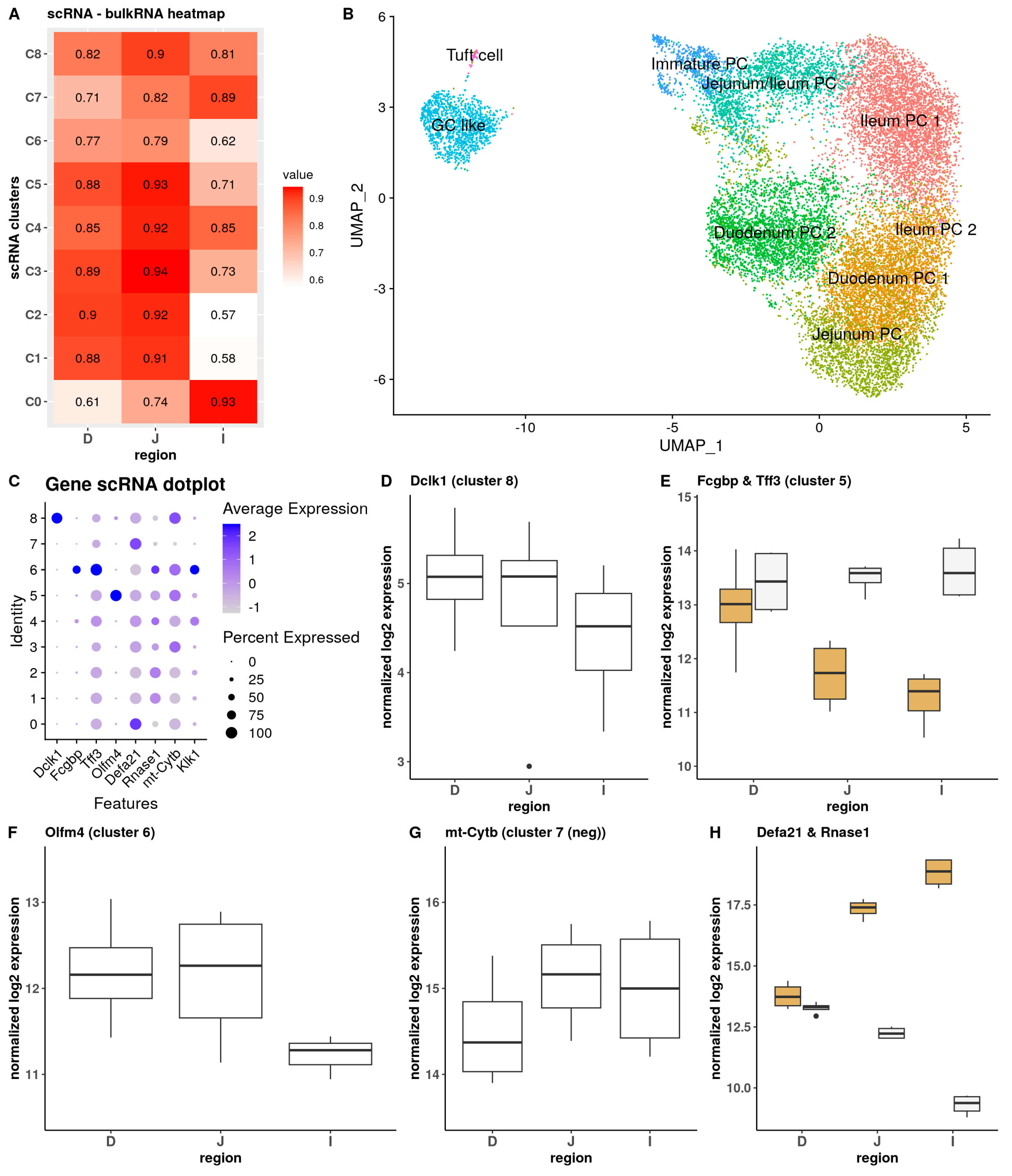 Cells 13 01435 g004 Cells 13 01435 g004