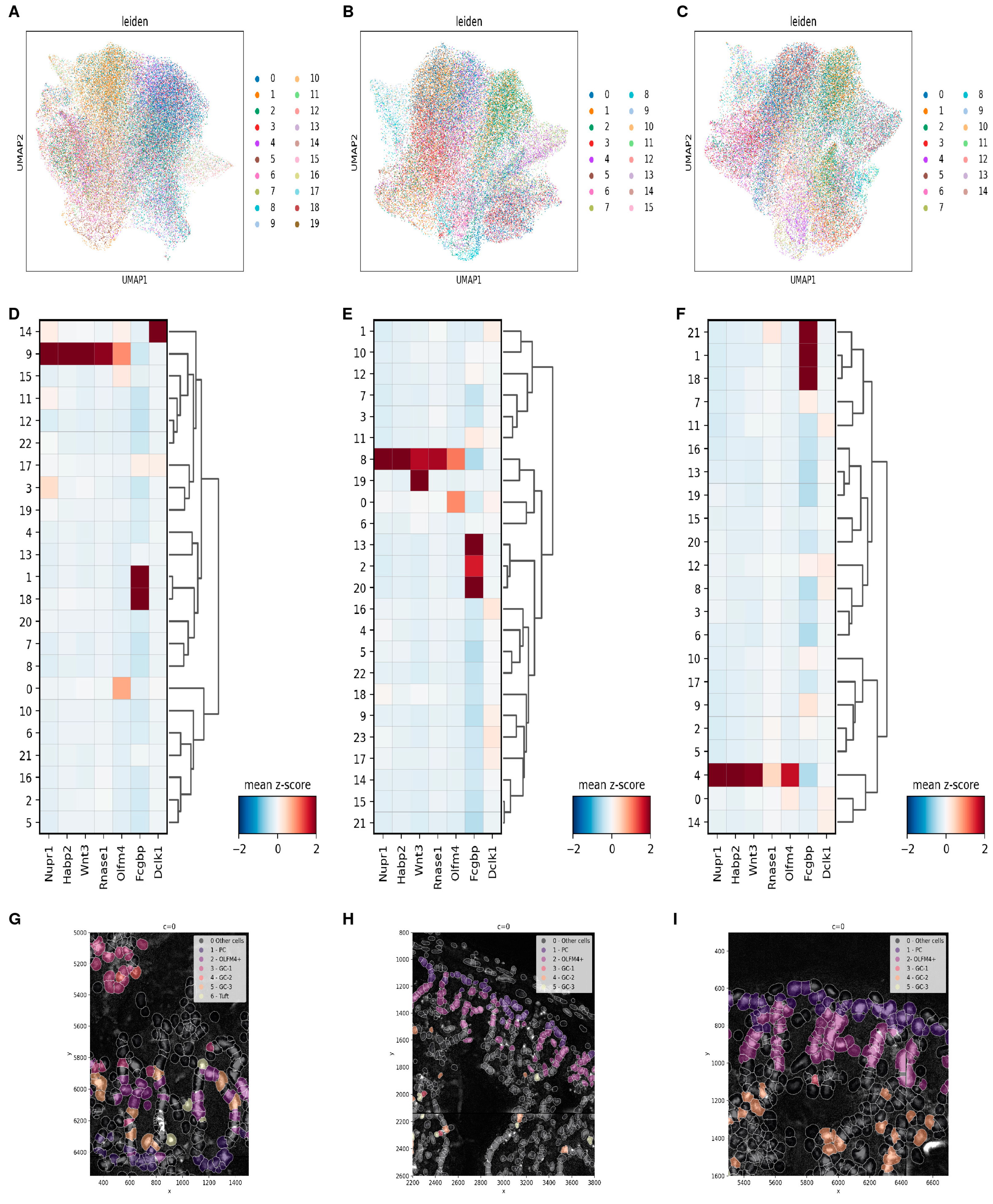 Cells 13 01435 g006 Cells 13 01435 g006