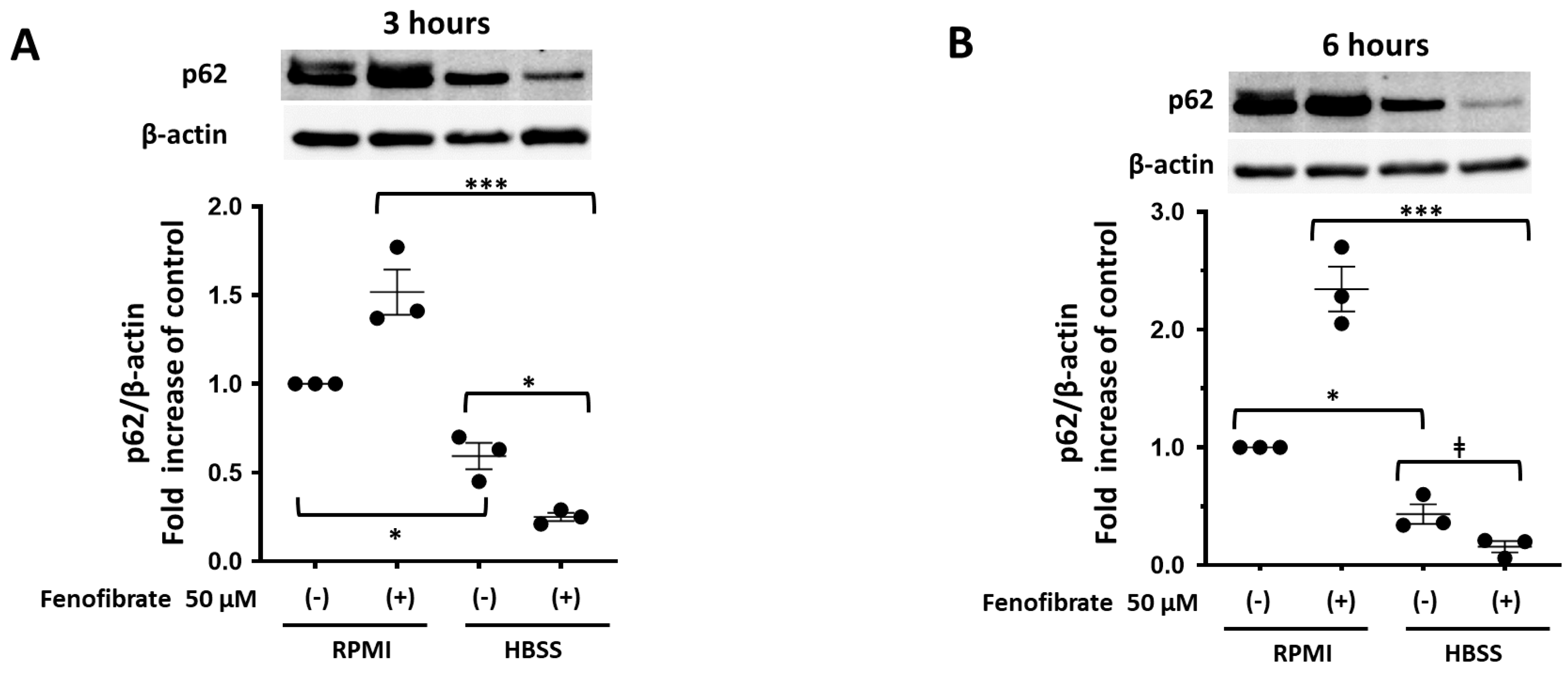 Cells 13 01446 g006a