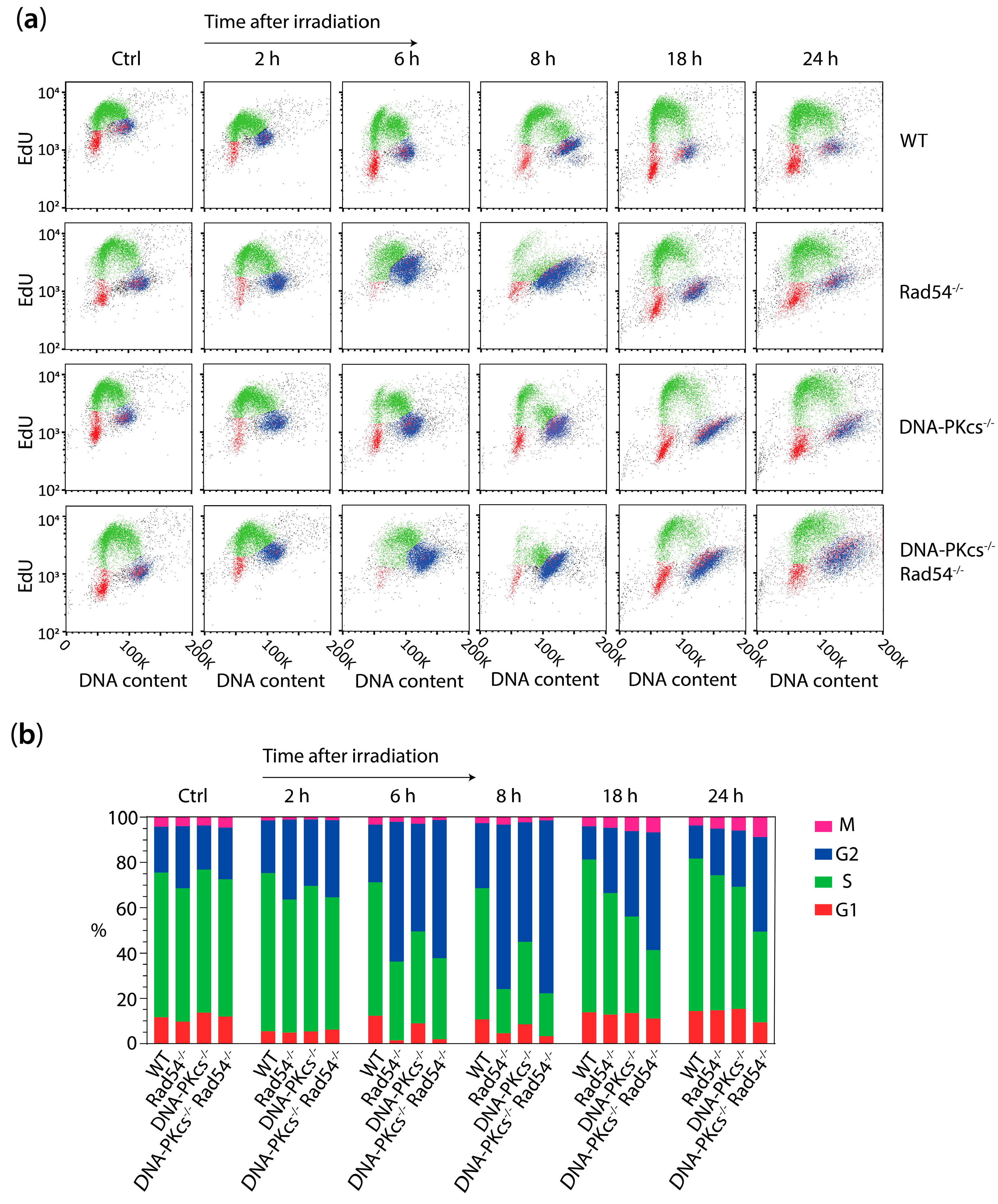 Cells 13 01462 g003a