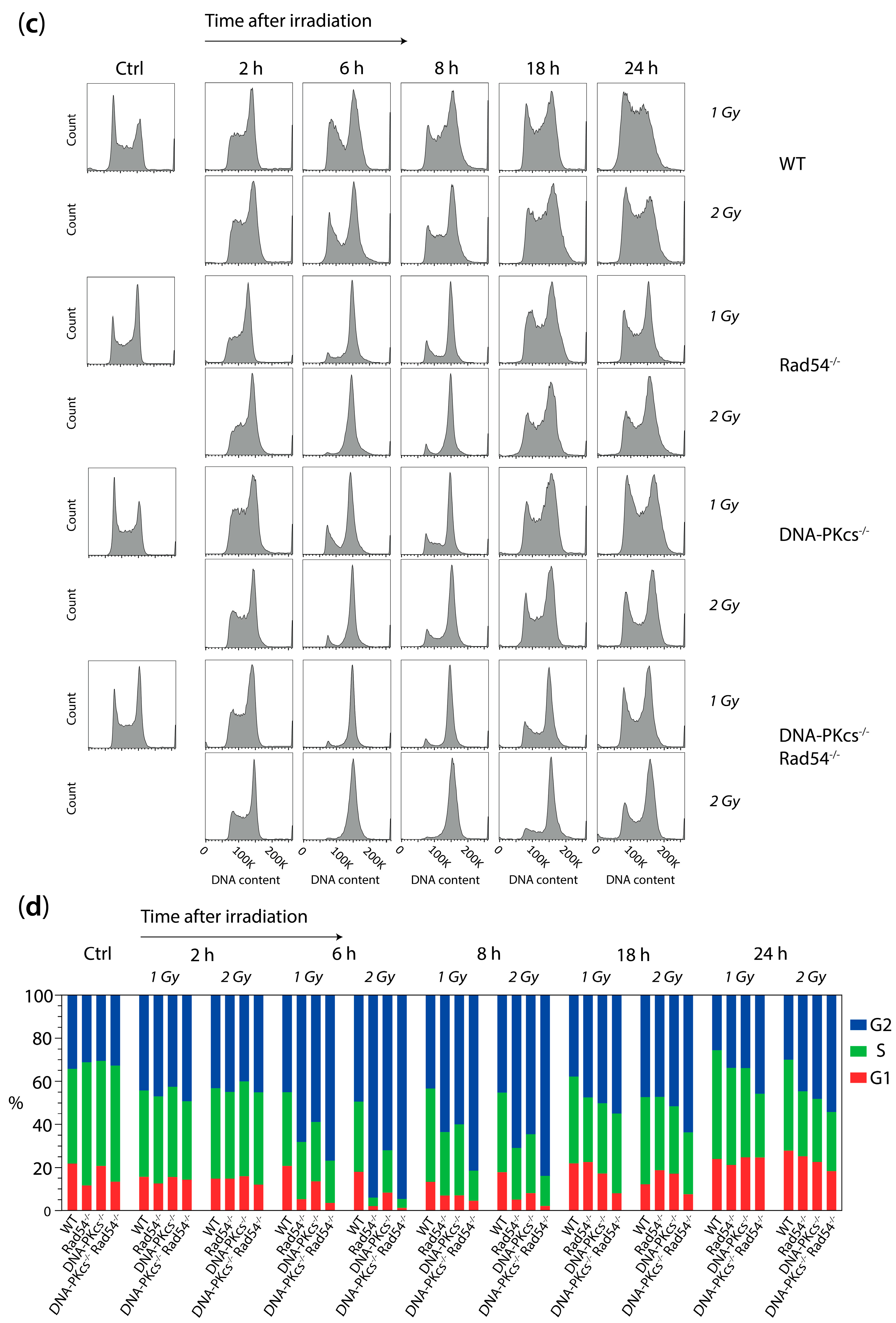 Cells 13 01462 g003b