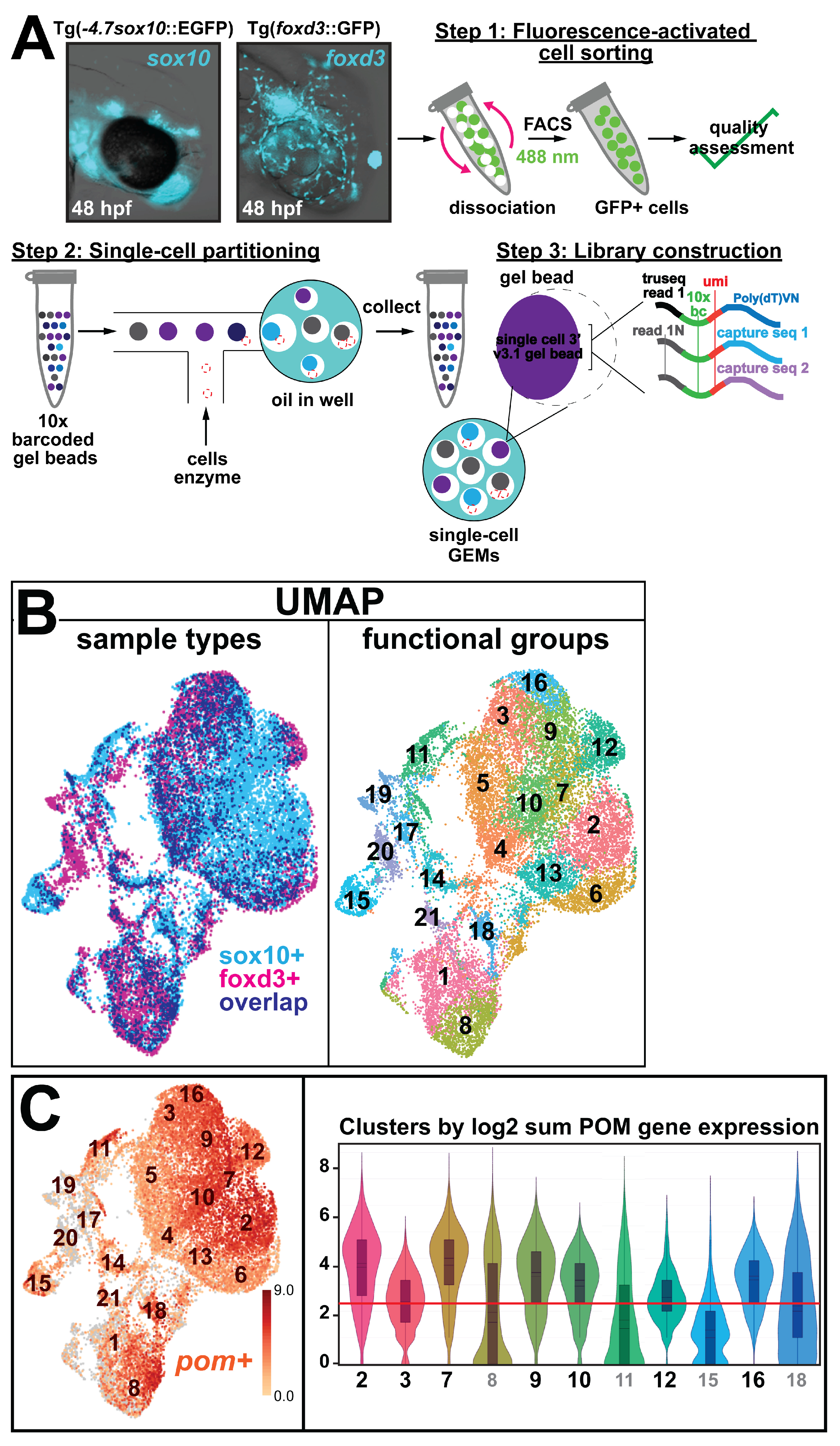 Cells 13 01473 g001a