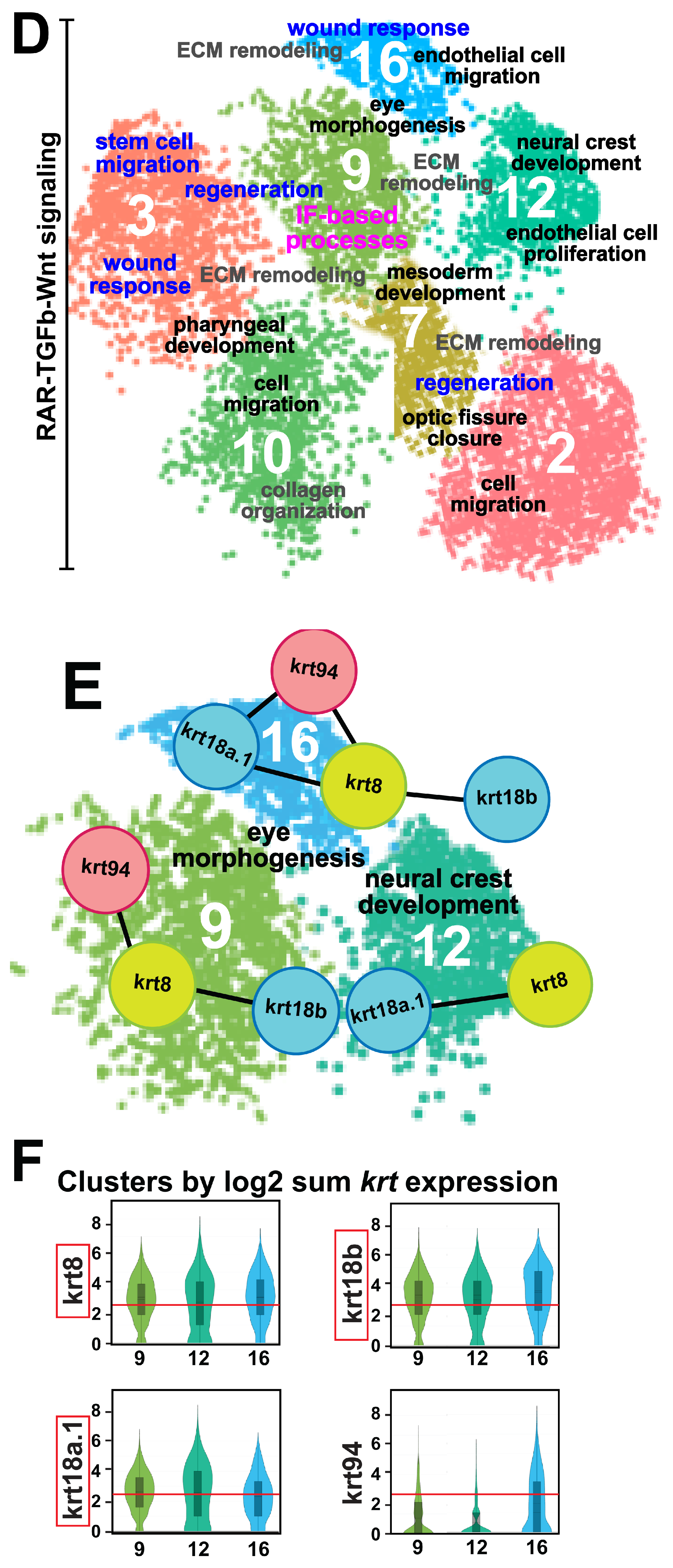 Cells 13 01473 g001b
