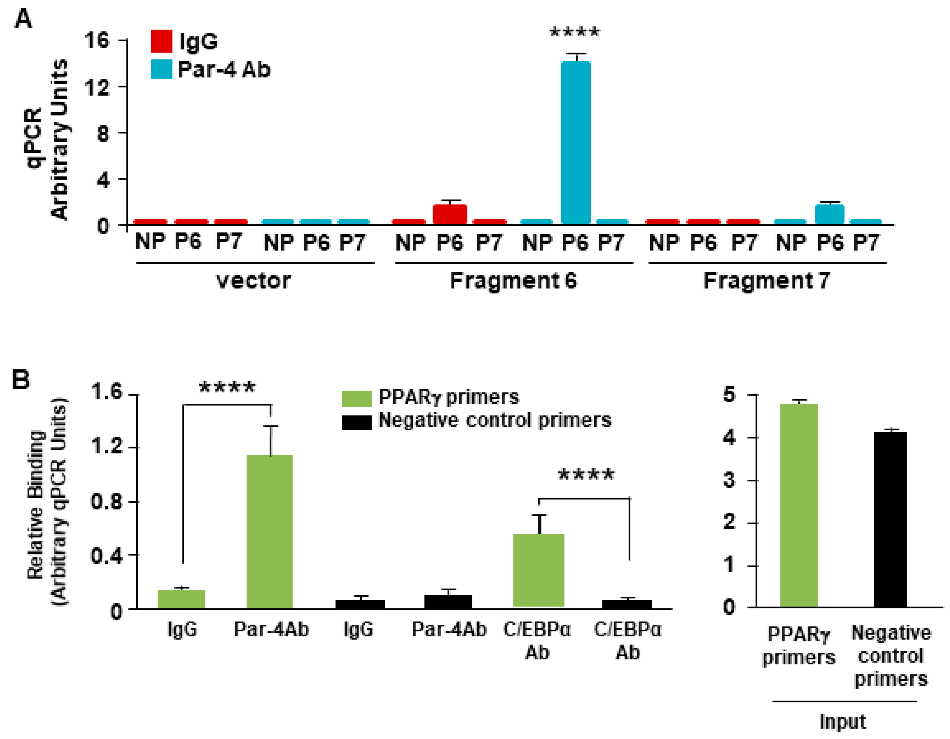 Cells 13 01495 g004 Cells 13 01495 g004