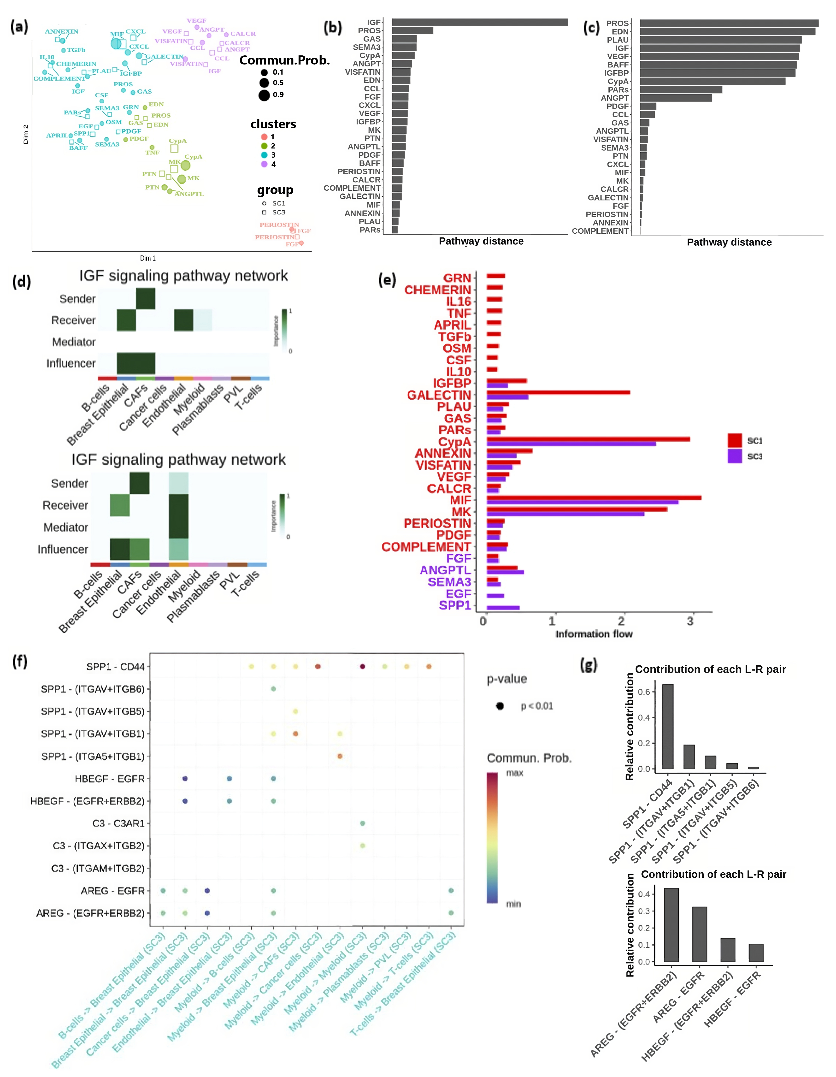Cells 13 01518 g007 Cells 13 01518 g007