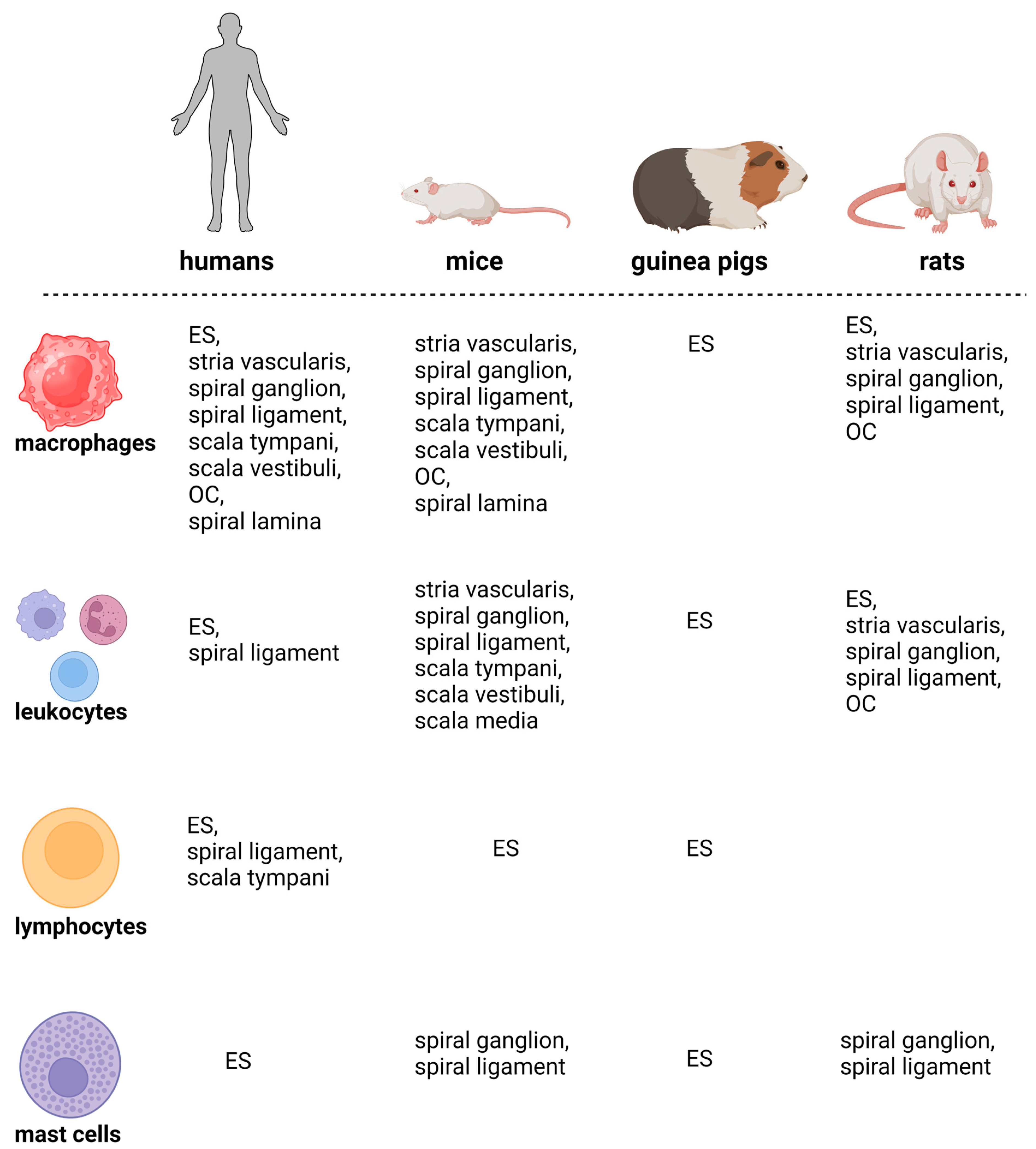 Cells 13 01528 g002 Cells 13 01528 g002