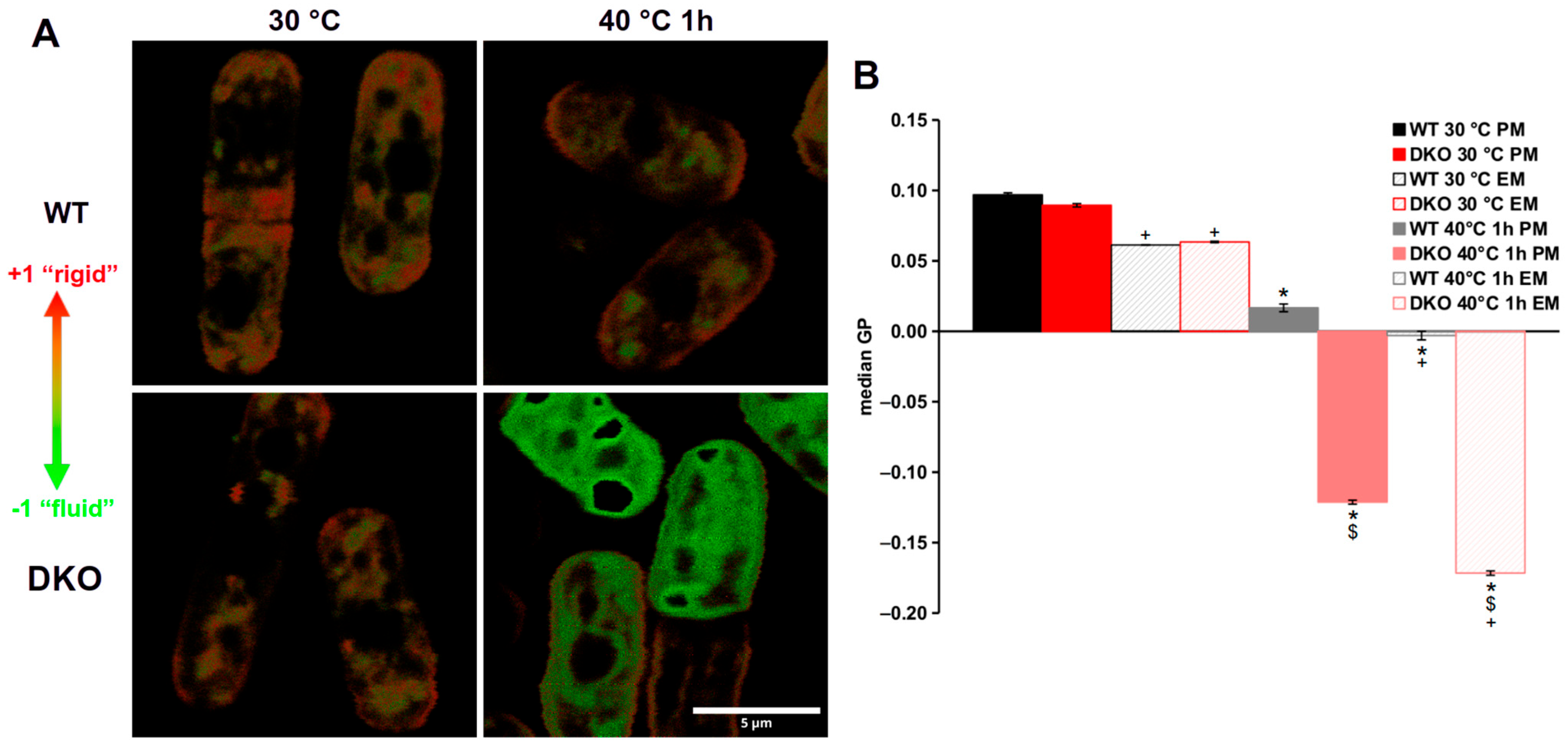 Cells 13 01543 g004 Cells 13 01543 g004
