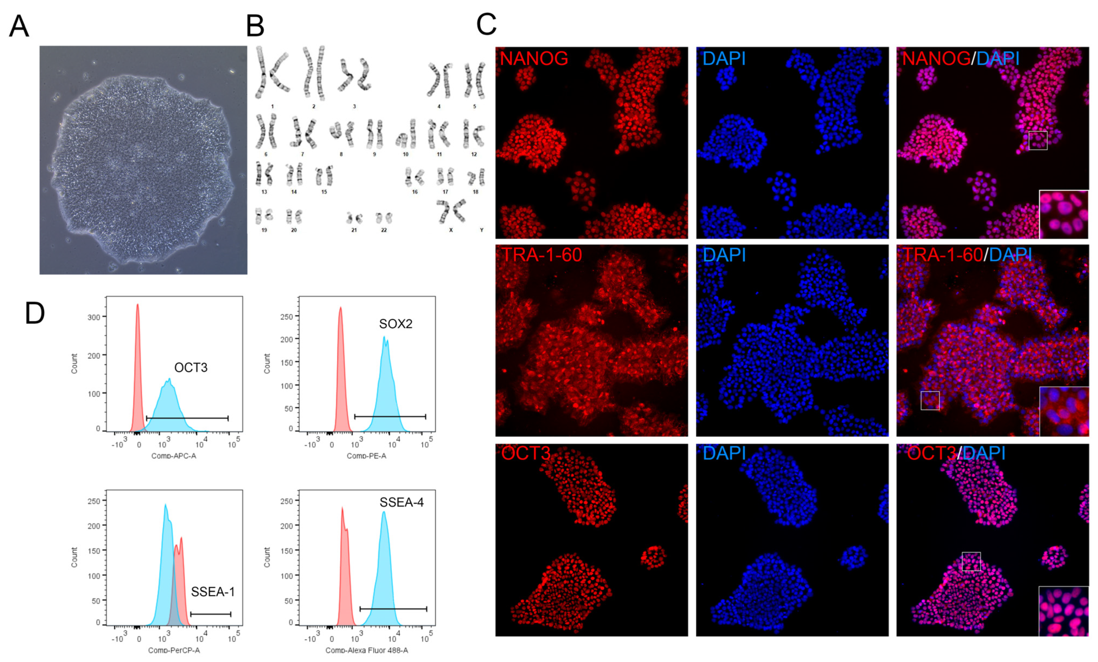 Cells 13 01566 g002 Cells 13 01566 g002