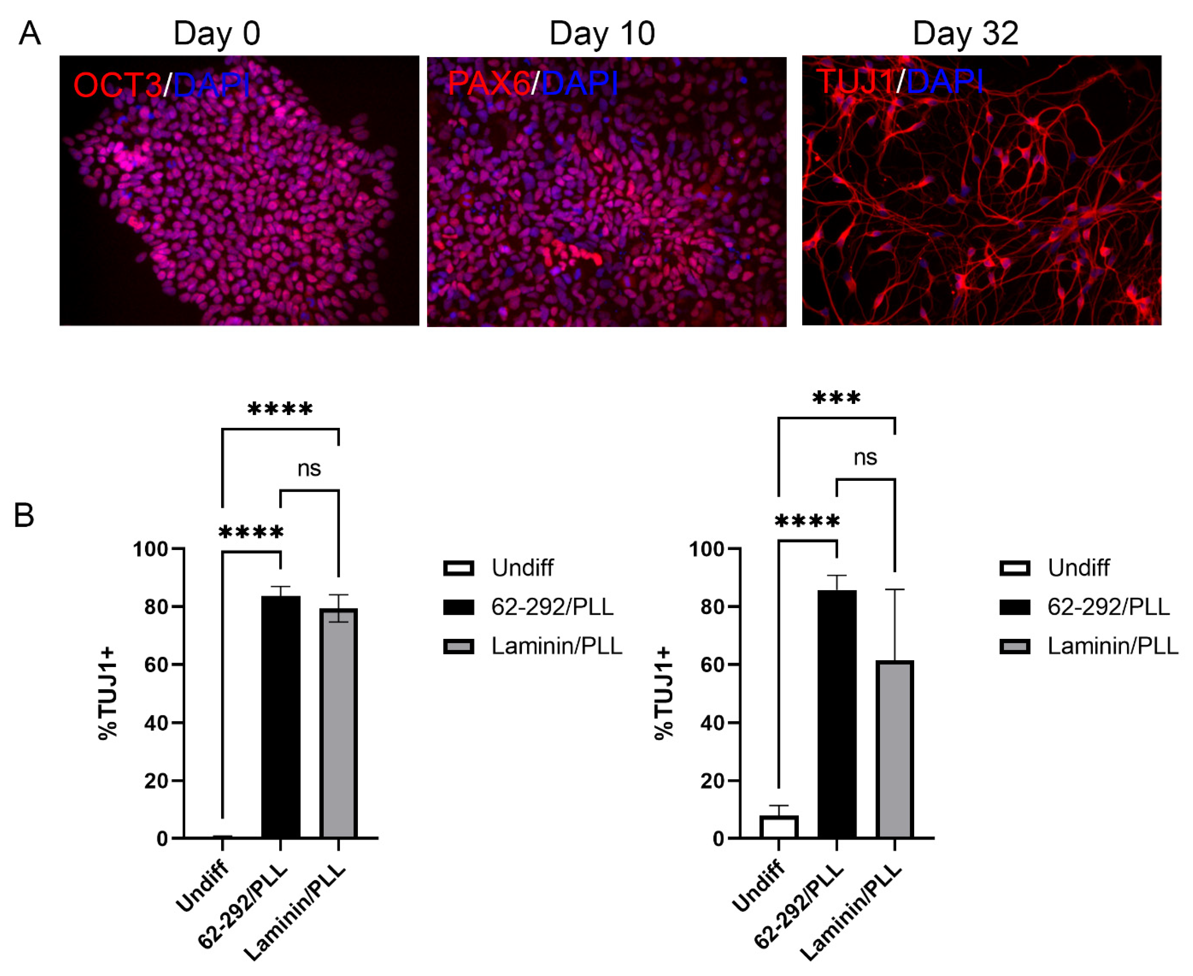 Cells 13 01566 g004 Cells 13 01566 g004