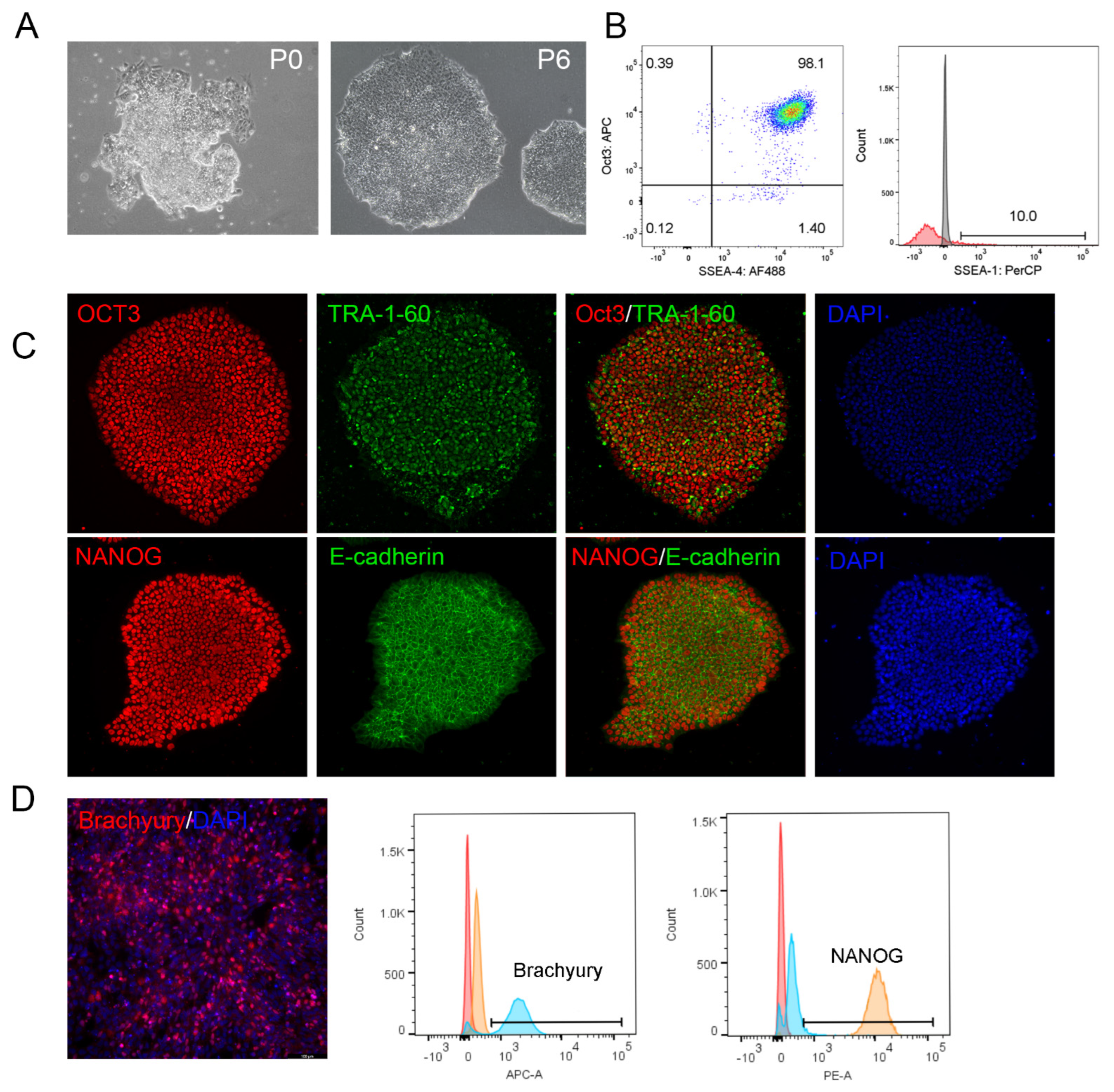 Cells 13 01566 g005 Cells 13 01566 g005