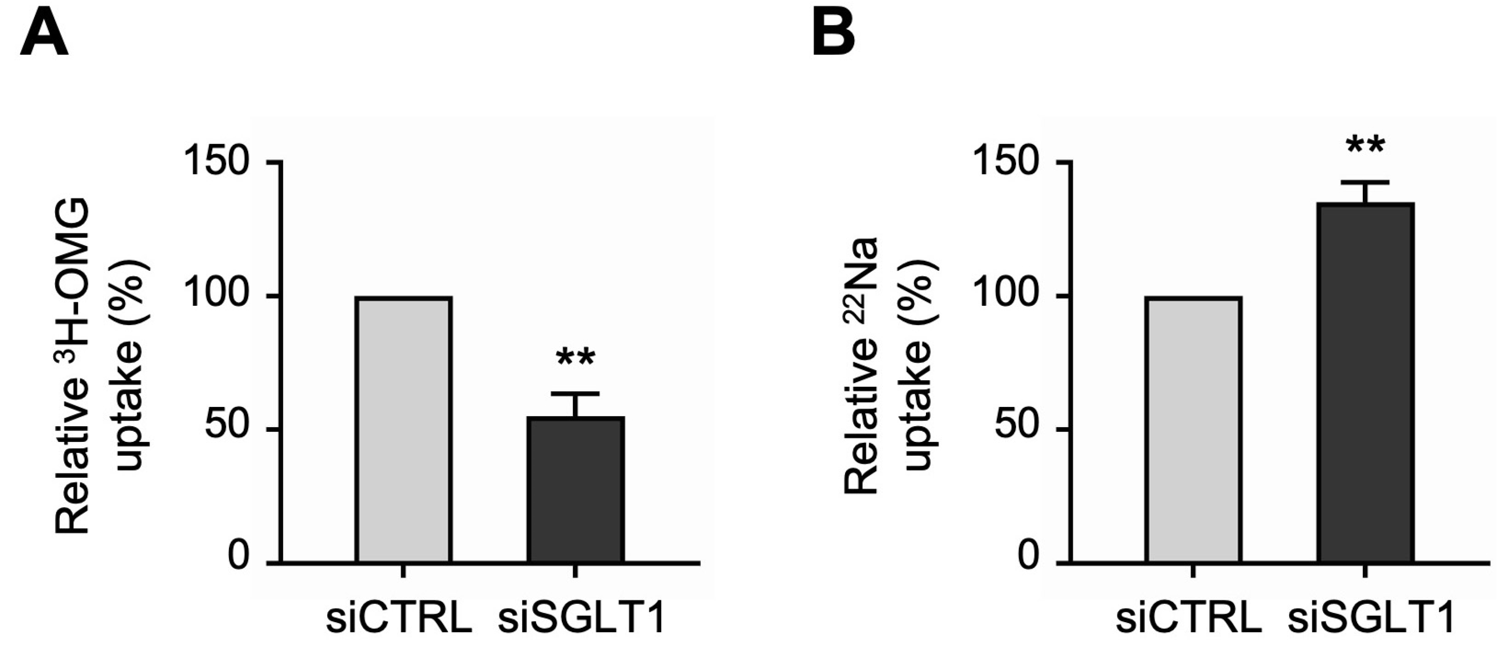 Cells 13 01623 g005 Cells 13 01623 g005