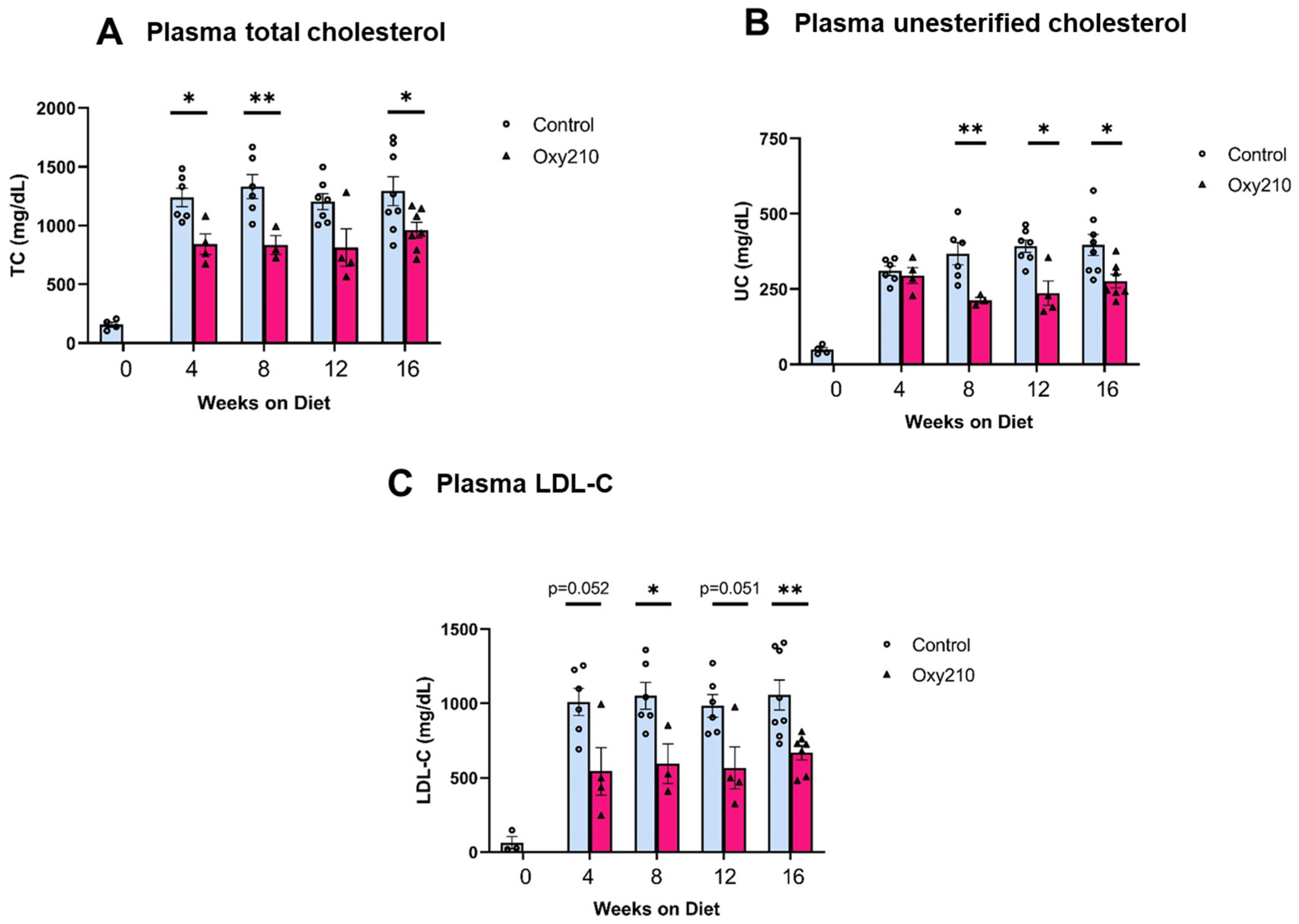 Cells 13 01632 g003 Cells 13 01632 g003